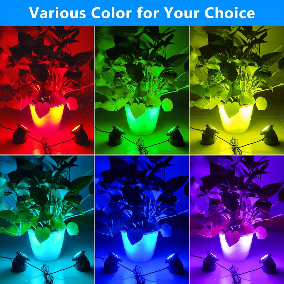 Sechs Bilder, die Pflanzen in Töpfen zeigen, die von Lichtern in verschiedenen Farben beleuchtet werden: rot, grün, gelb, blau und violett. Lichter stehen auf dem Boden.