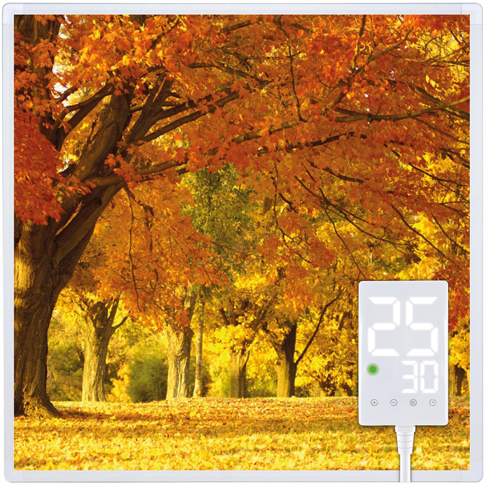 Herbstszene mit Bäumen und Blättern. Digitalanzeige mit Zahlen. Der Boden ist mit Laub bedeckt.