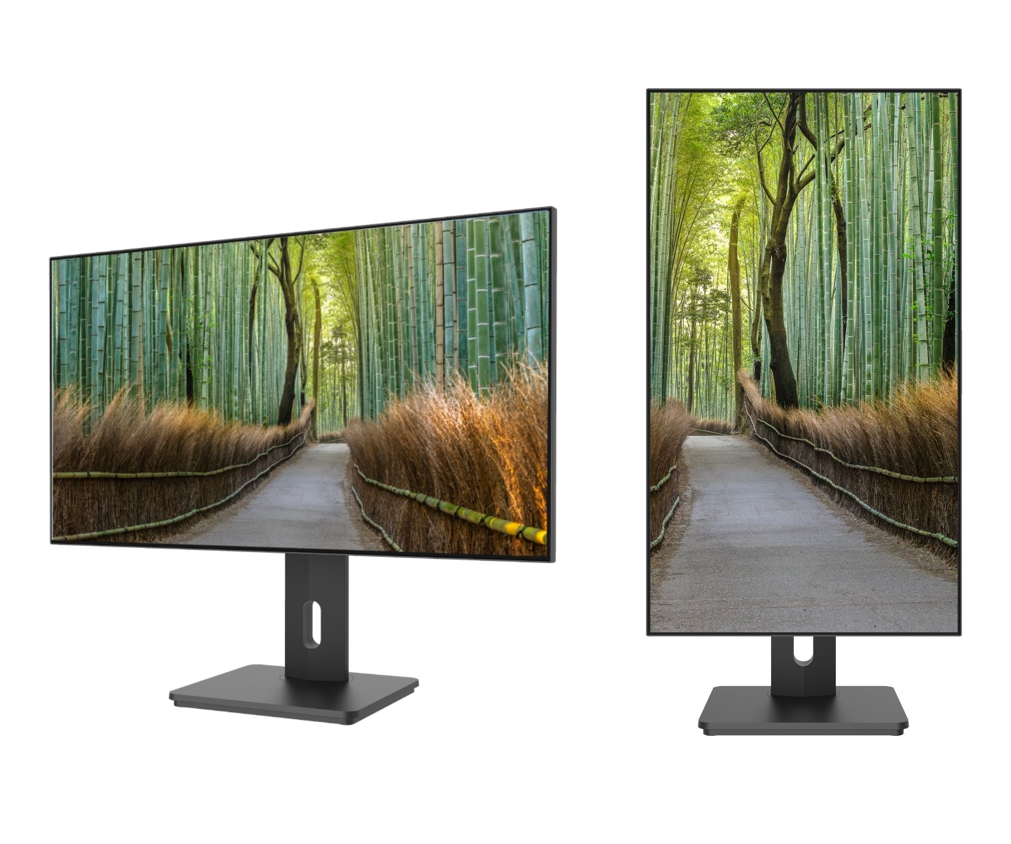 Zwei Computermonitore, die einen Bambuswaldweg zeigen. Die Monitore sind schwarz, auf schwarzen Ständern montiert, isoliert auf Weiß.