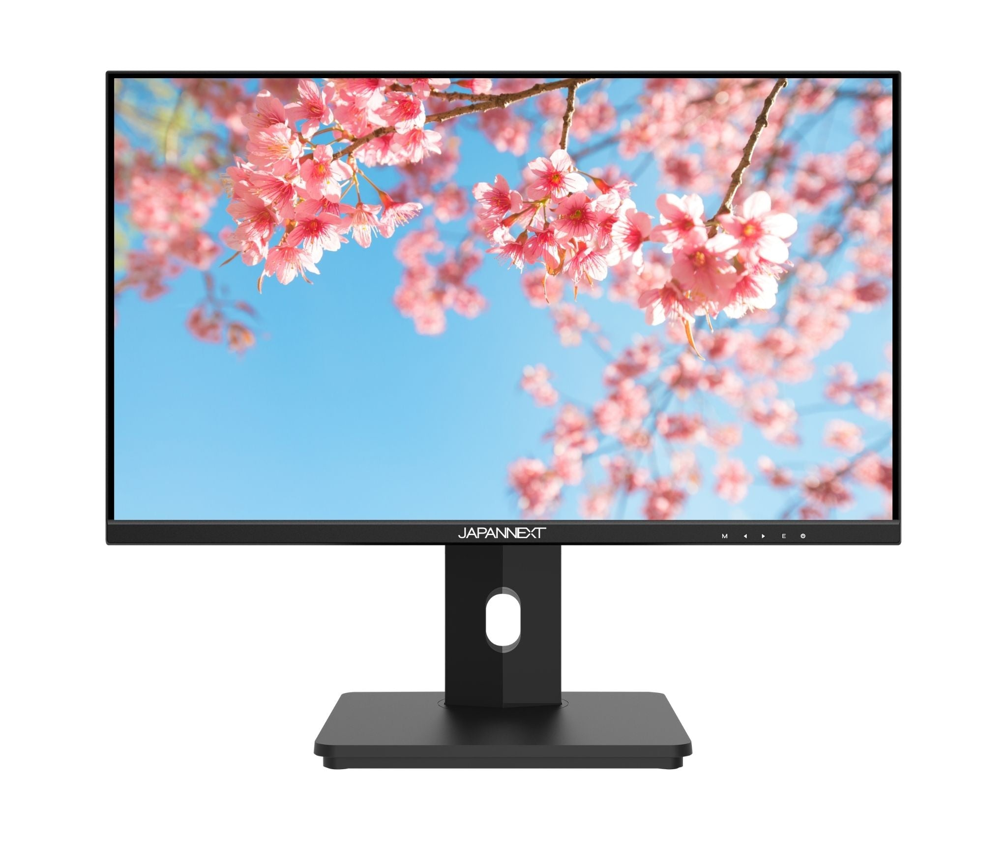 Een computermonitor toont roze kersenbloesem tegen een blauwe lucht. De monitor heeft een zwart frame en standaard.