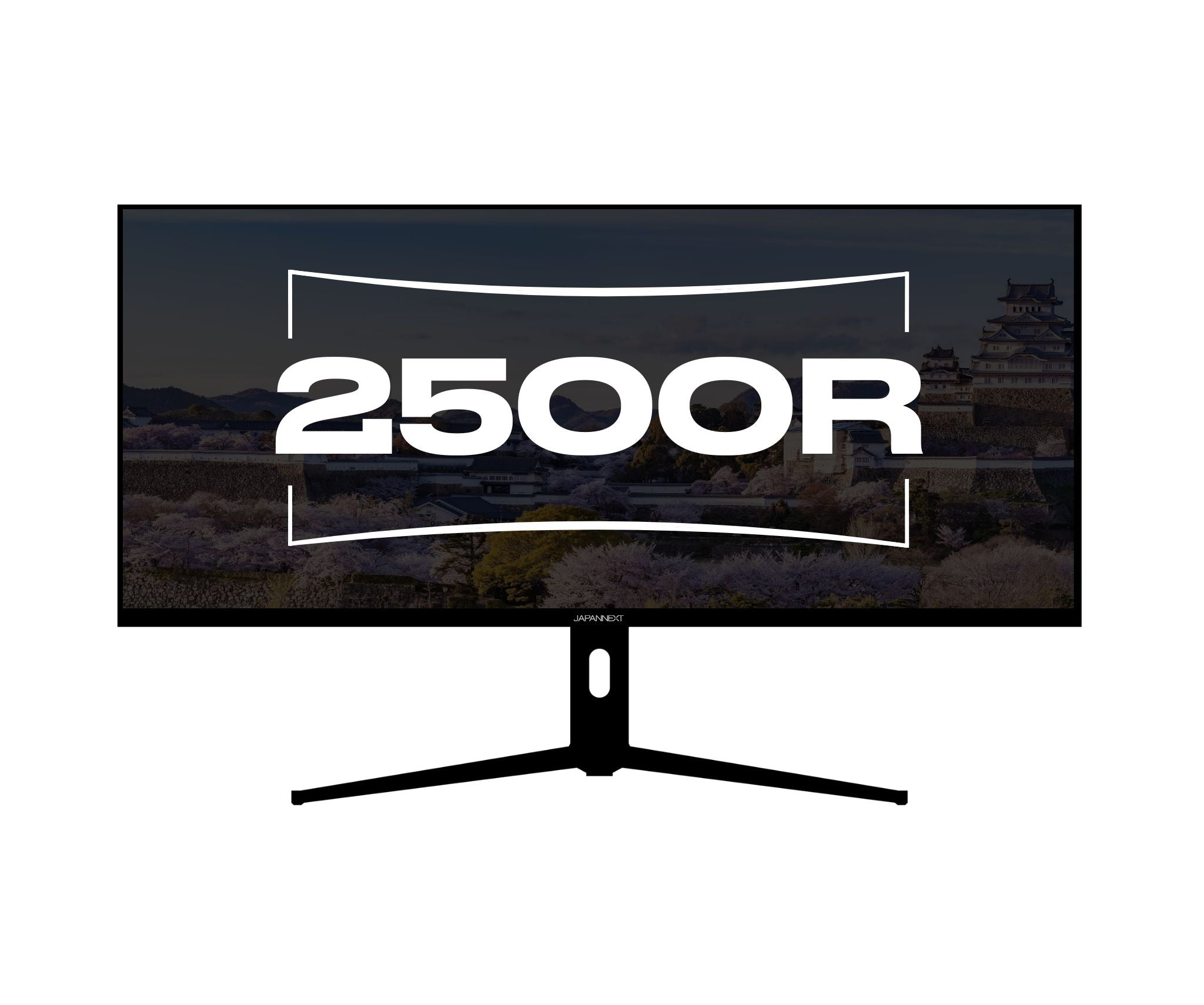 Ein Computermonitor mit schwarzem Rahmen und Ständer. Der Bildschirm zeigt eine Landschaft mit Kirschblüten, einem Schloss und dem Text 2500R.