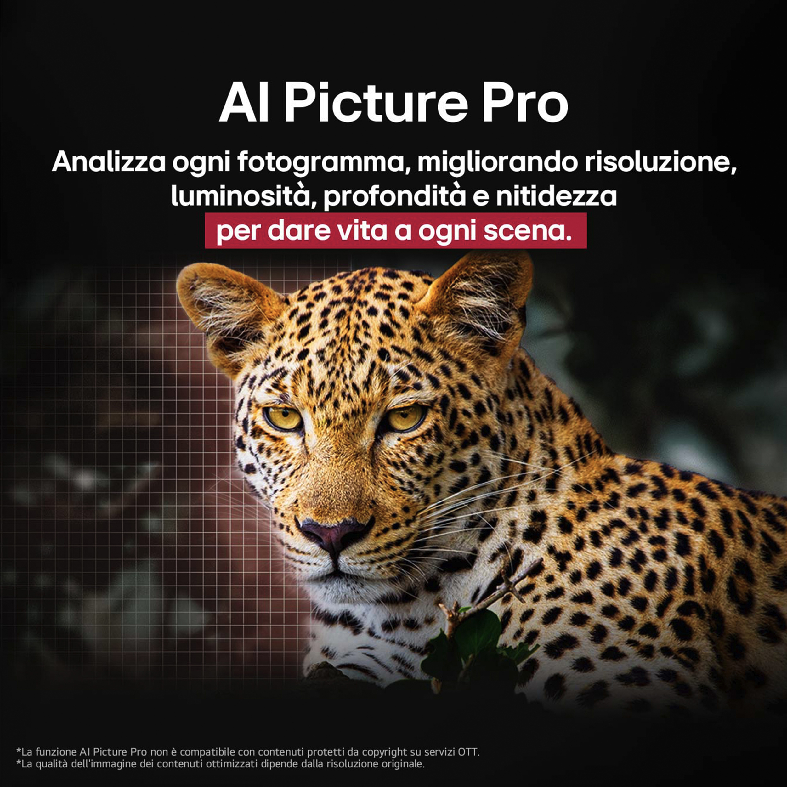 Le visage d'un léopard est mis au point. Le texte en haut indique « Al Picture Pro ». D'autres textes expliquent l'amélioration de l'image.