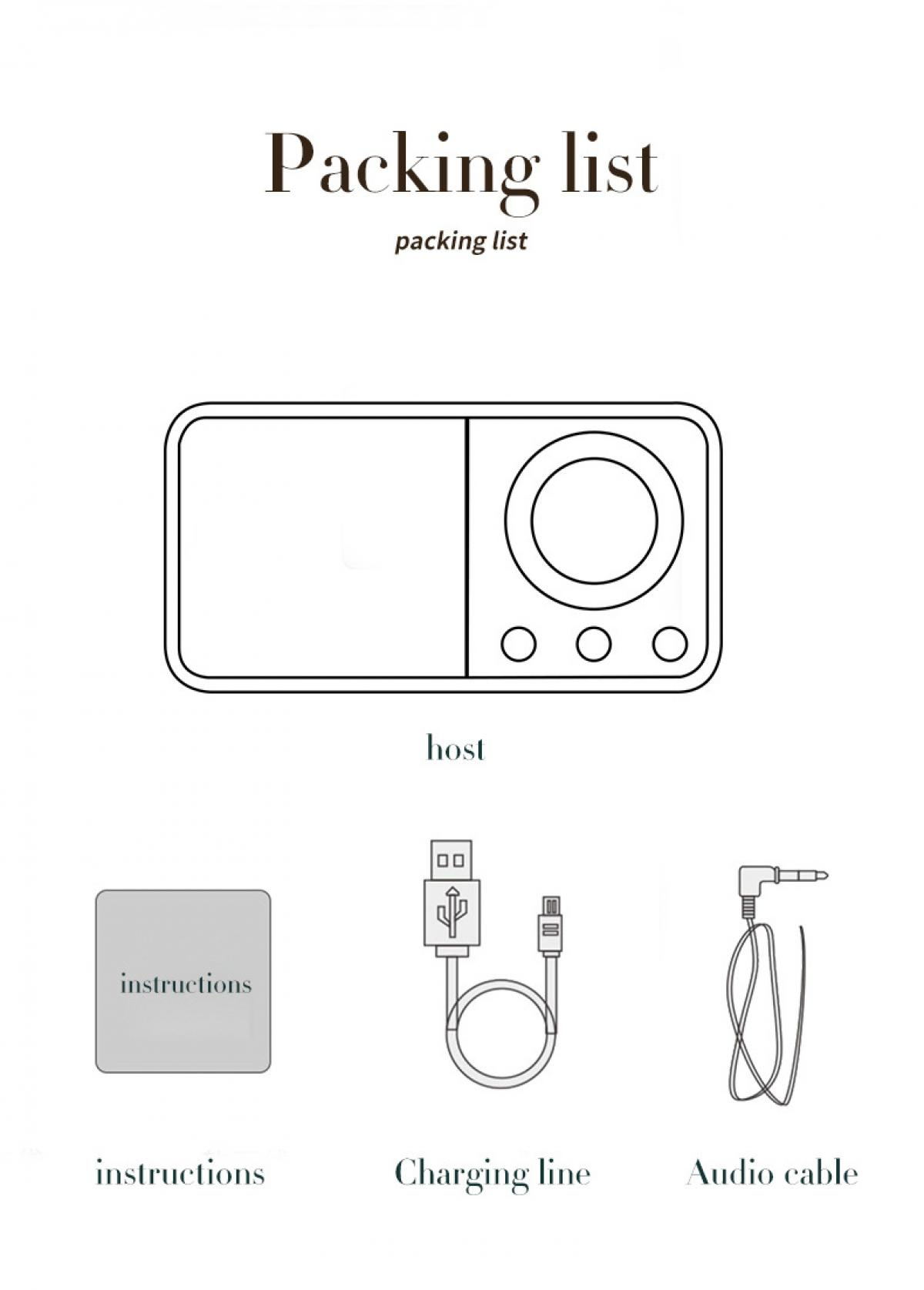 Diagramm der Packliste. Enthält Host, Anweisungen, Ladekabel und Audiokabel, alles mit schwarzen Umrissen auf weißem Hintergrund.