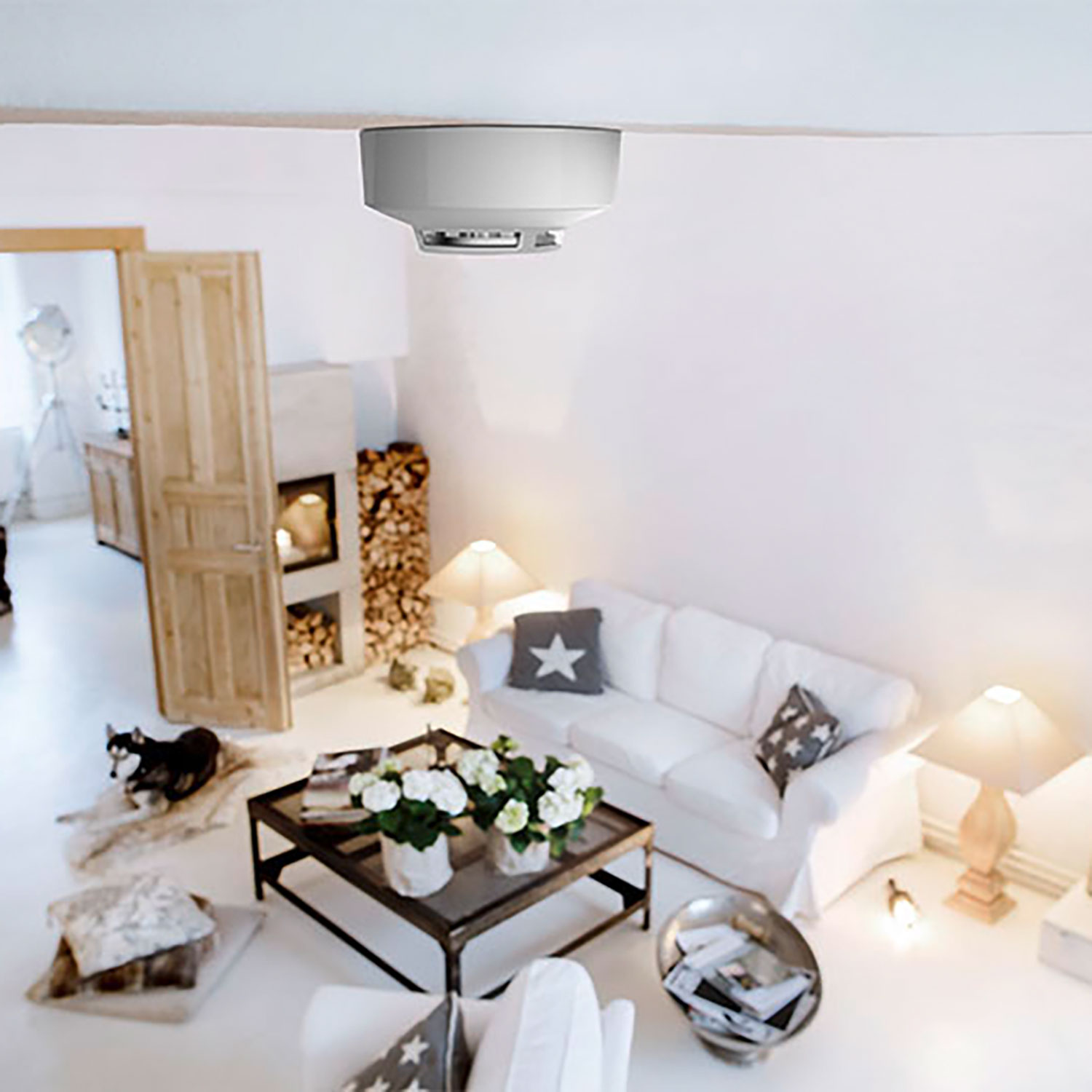 Ein weißes Wohnzimmer mit Rauchmelder an der Decke. Ein Sofa, ein Couchtisch und ein Kamin sind sichtbar, mit einem Hund.