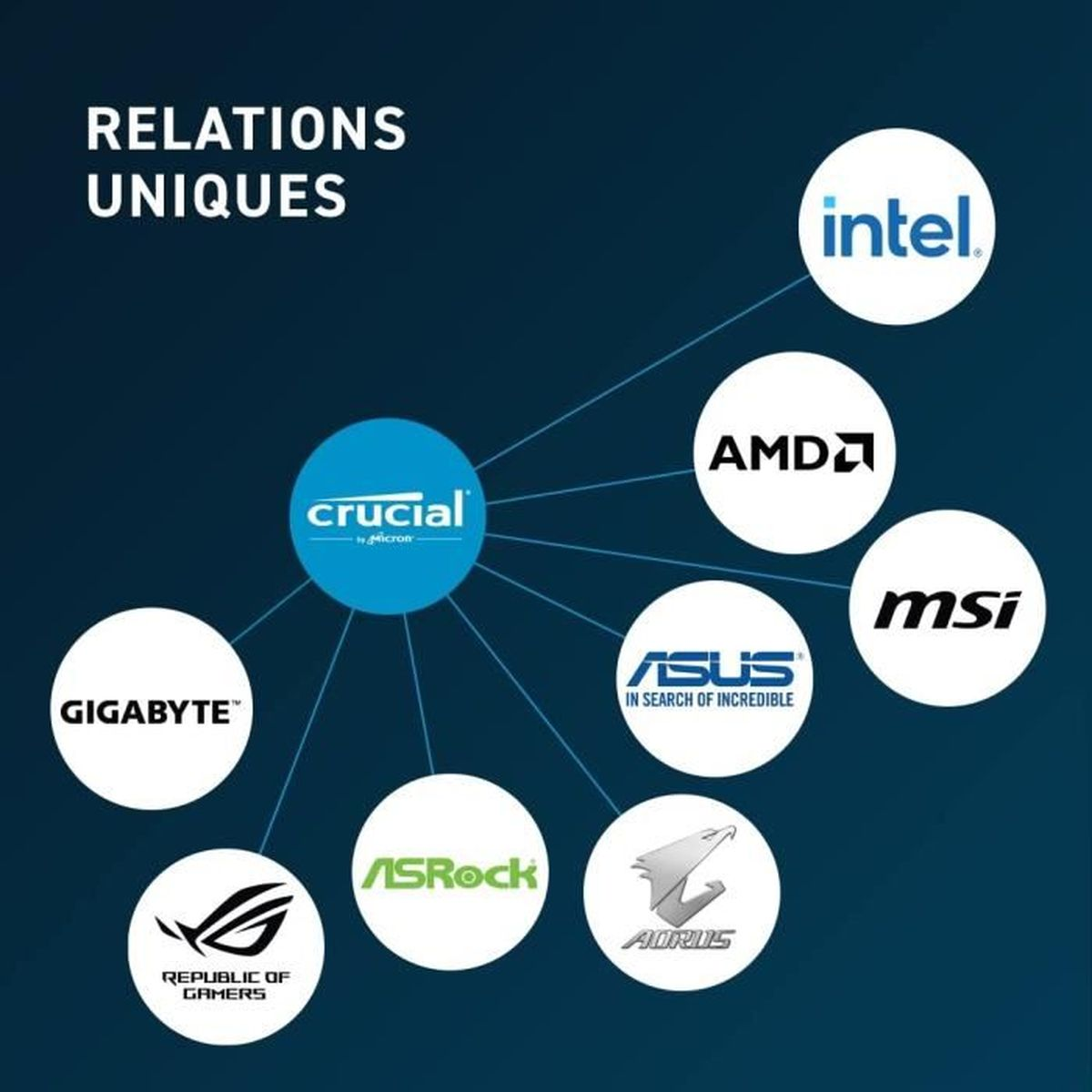 Diagramm, das die Beziehungen zwischen Crucial und anderen Tech-Marken wie Intel, AMD, ASUS, MSI, Gigabyte, ASRock und AORUS zeigt.