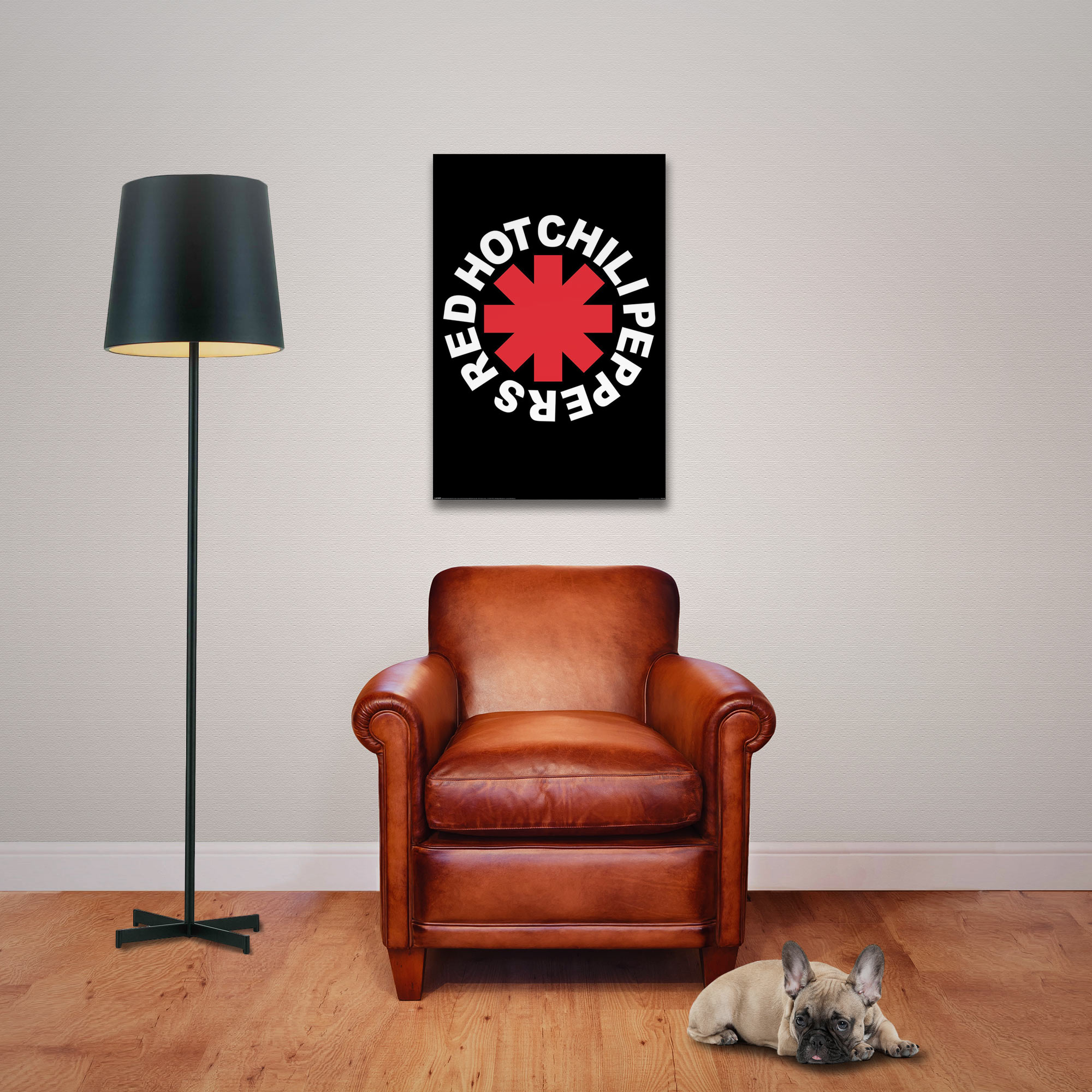 Zimmer mit Ledersessel, Red Hot Chili Peppers Poster, Lampe und Hund auf dem Holzboden.