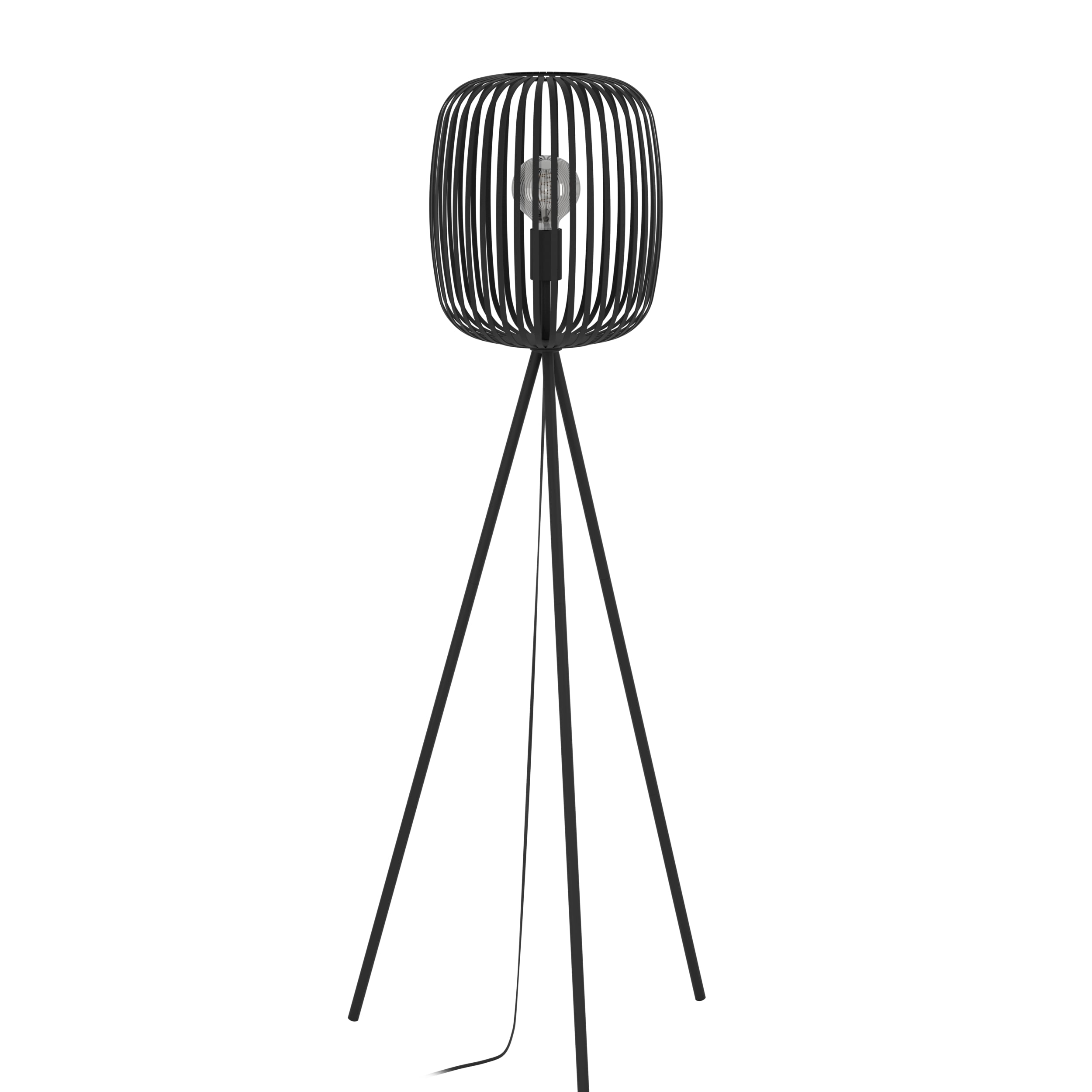 Een zwarte vloerlamp met een kooivormige kap, op een statief, met een zichtbare gloeilamp en een witte achtergrond.