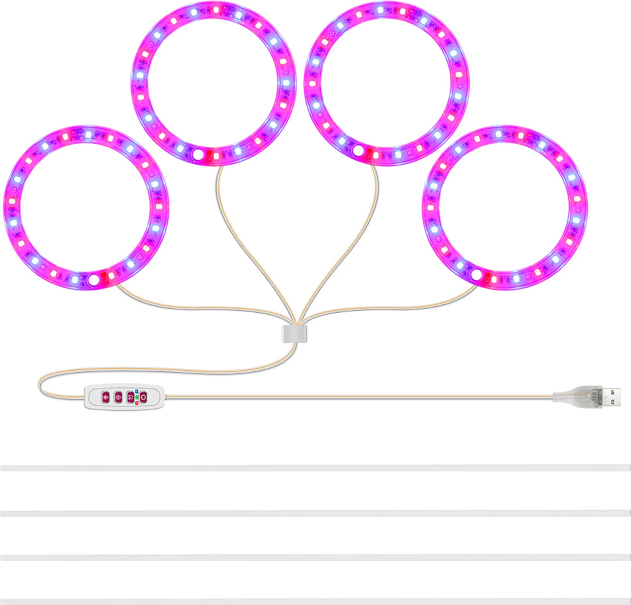 Vier kreisförmige LED-Wachstumslichter, die über ein USB-Kabel mit einem Bedienfeld verbunden sind. Die Lichter sind pink und lila.