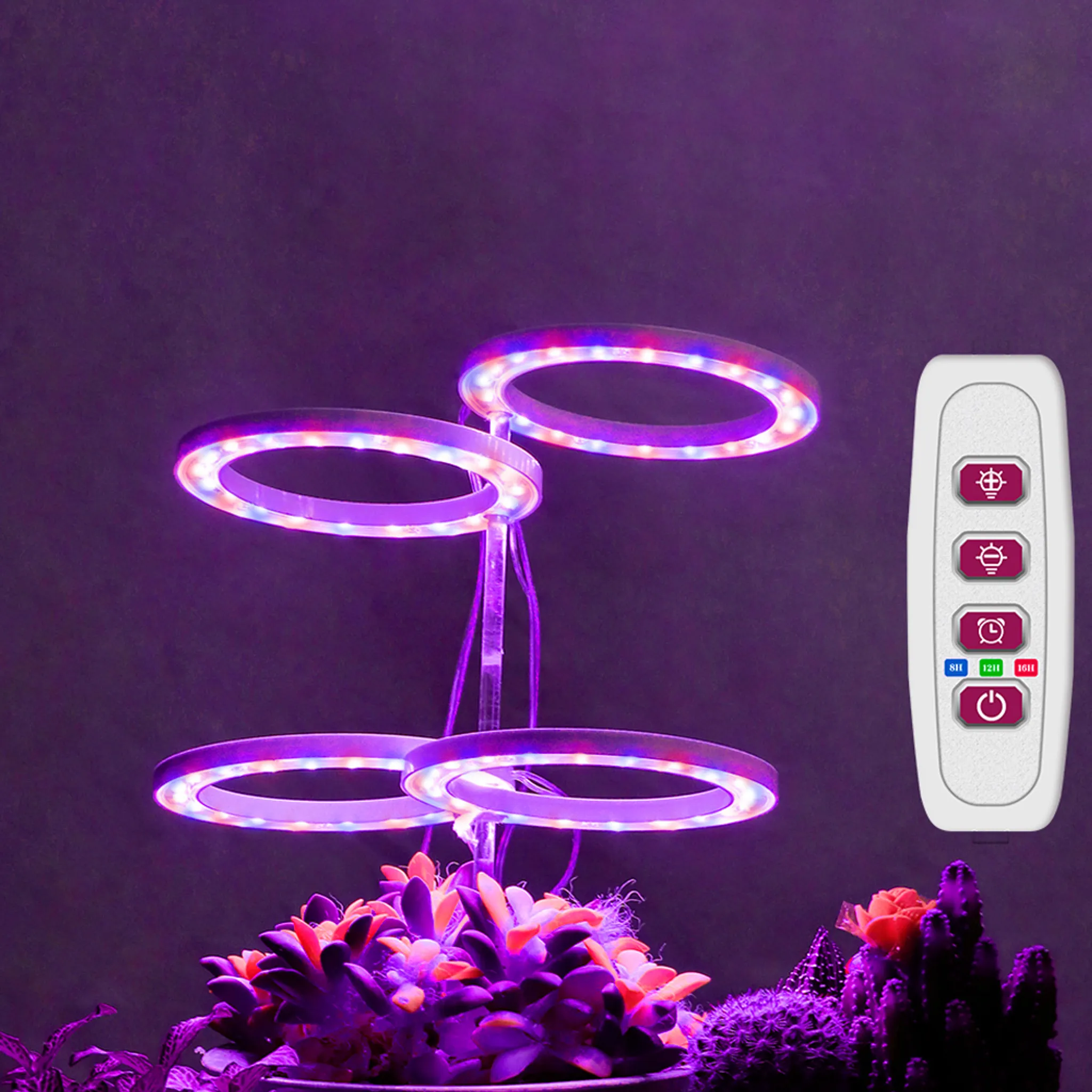 Eine Pflanzenlampe mit 4 kreisförmigen LED-Leuchten über Pflanzen und einer Fernbedienung. Die Lichter sind lila.