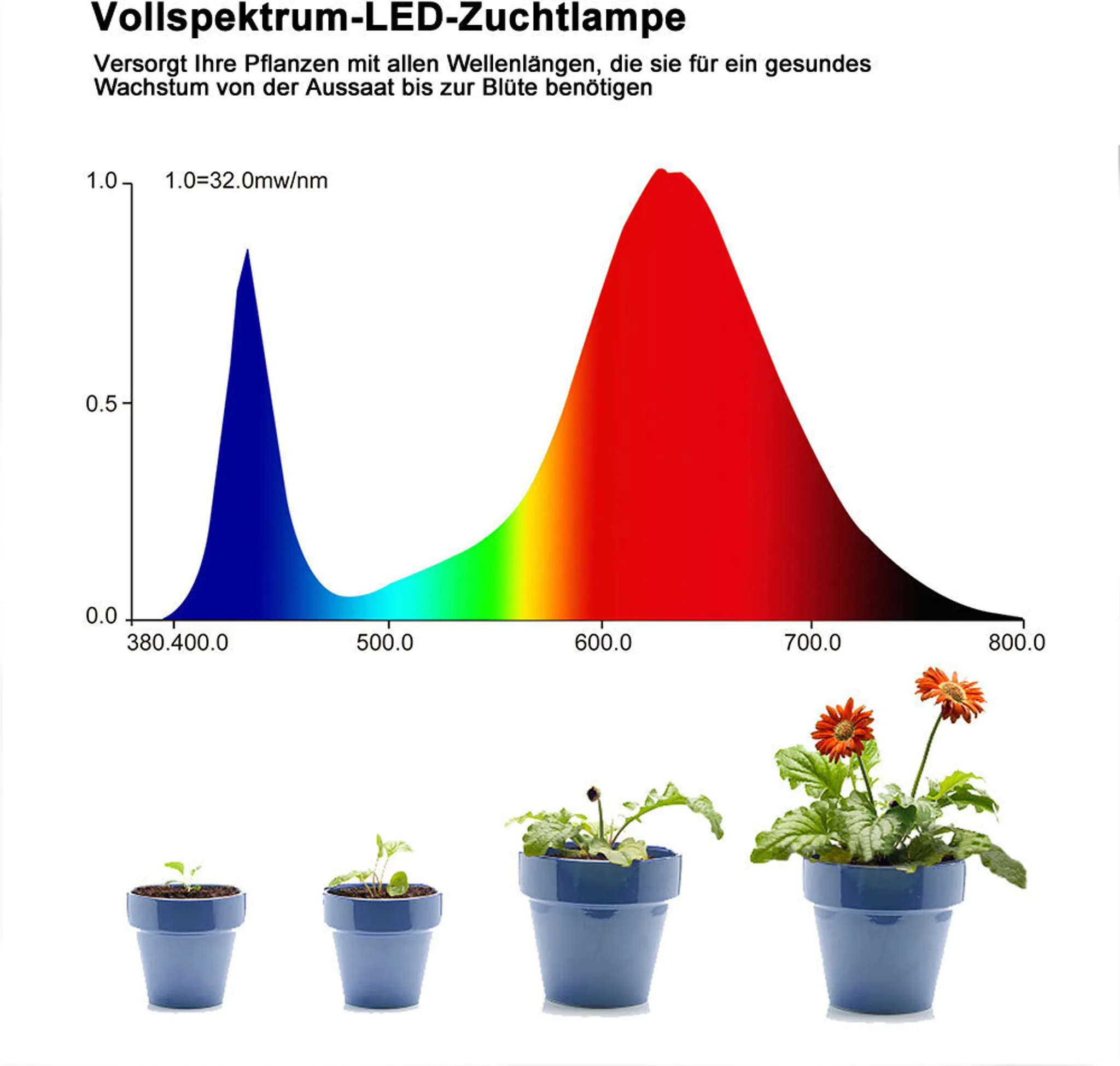 Diagramm des Lichtspektrums mit Pflanzen in Töpfen. Diagramm zeigt blaue, grüne und rote Lichtbereiche. Pflanzen in verschiedenen Wachstumsstadien.