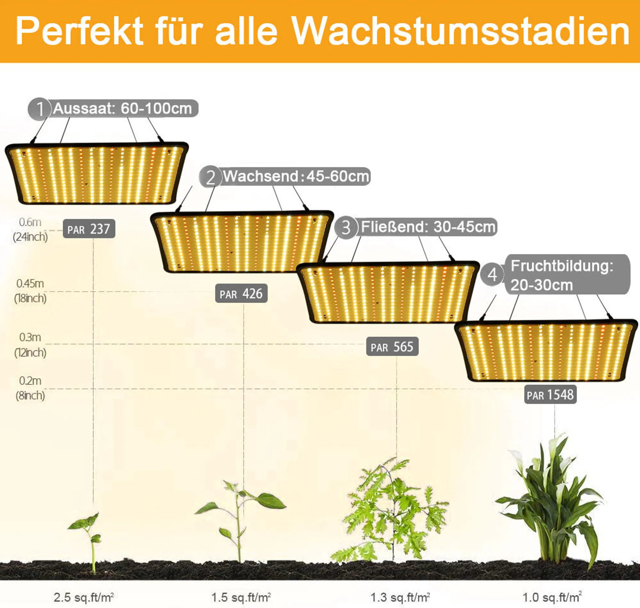 Diagramm, das die Wachstumsstadien von Pflanzen unter LED-Leuchten veranschaulicht, mit den Phasen Aussaat, Wachstum, Blüte und Fruchtbildung.