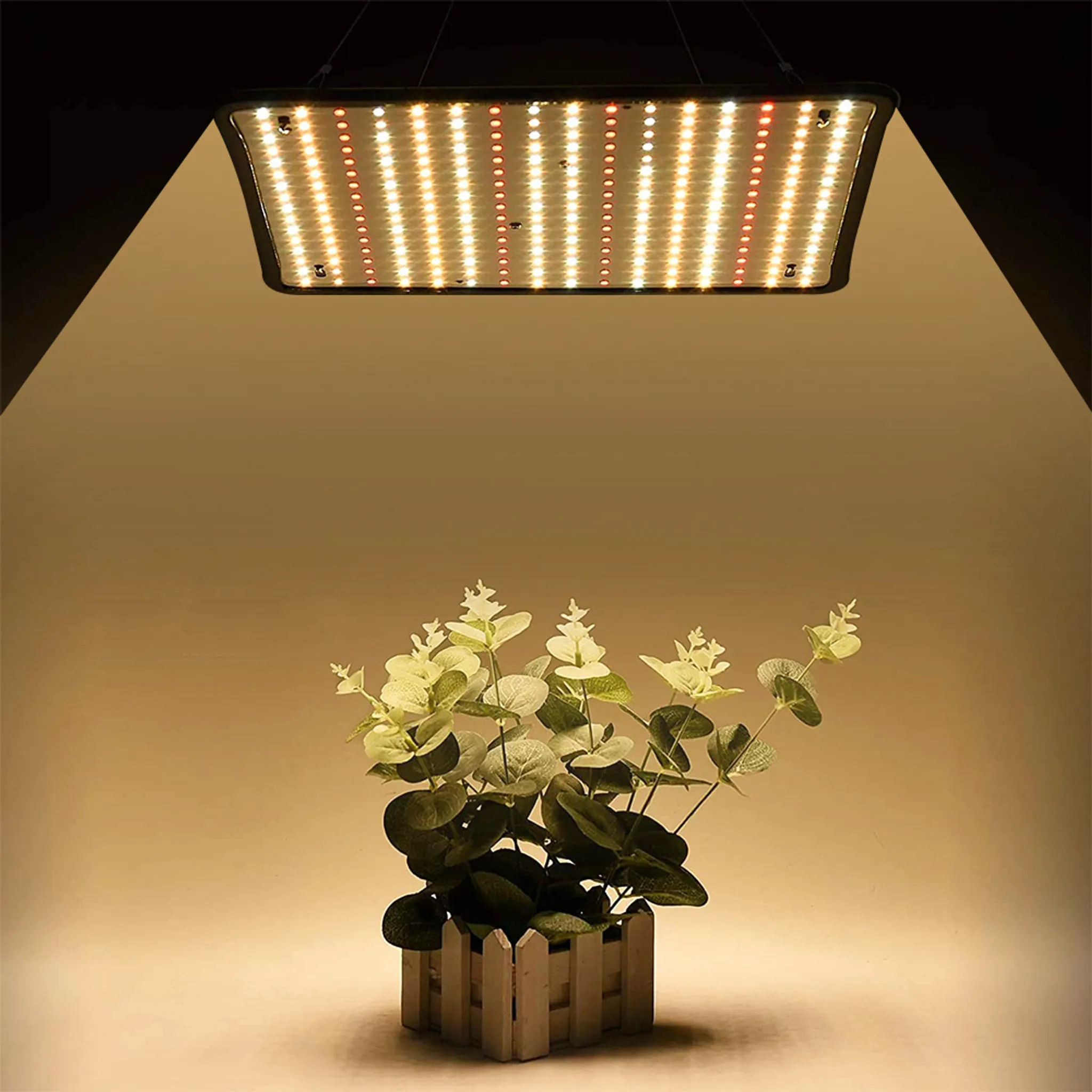 Eine rechteckige Wachstumslampe beleuchtet eine Pflanze in einem Holzpflanzer. Die Blätter sind grün und weiß.