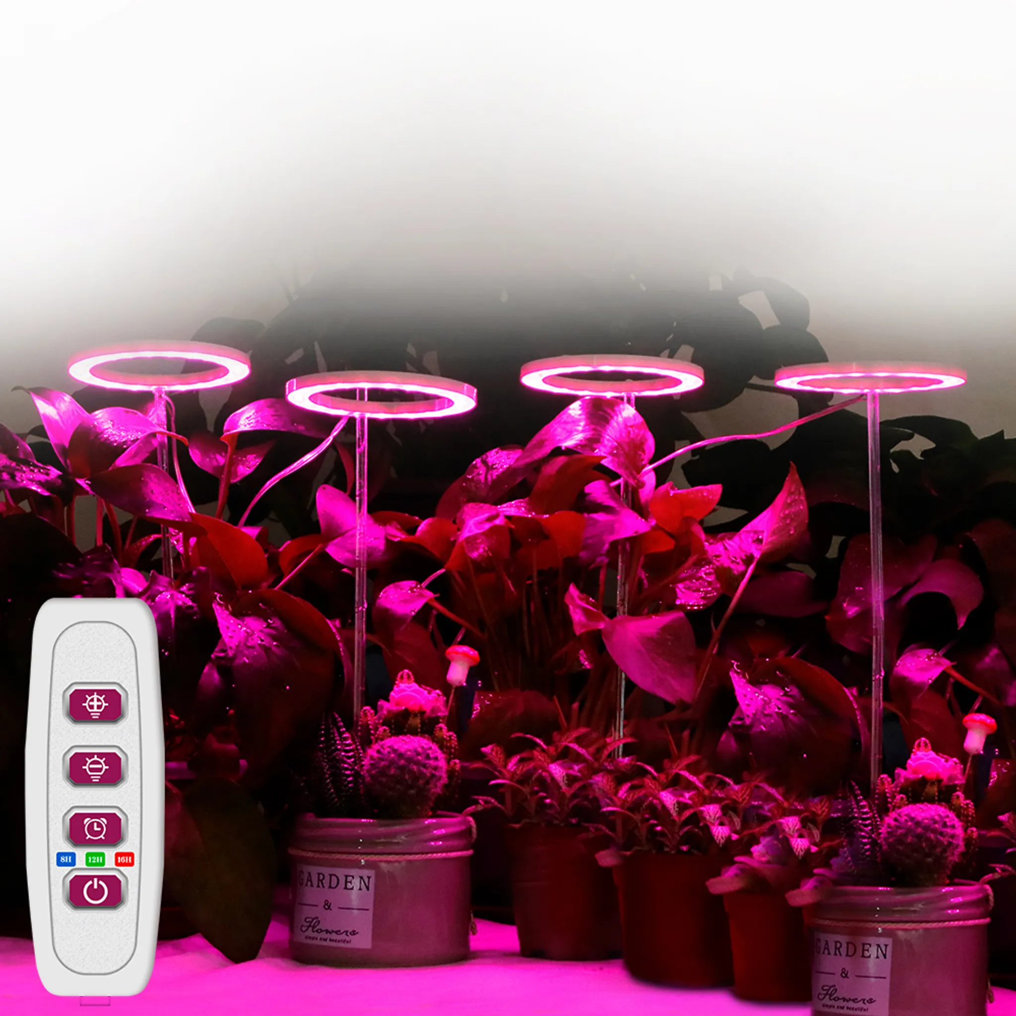 Indoor-Pflanzen-Wachstumslampen mit rosa Licht. Pflanzen stehen in Töpfen. Auf der linken Seite befindet sich eine Fernbedienung.