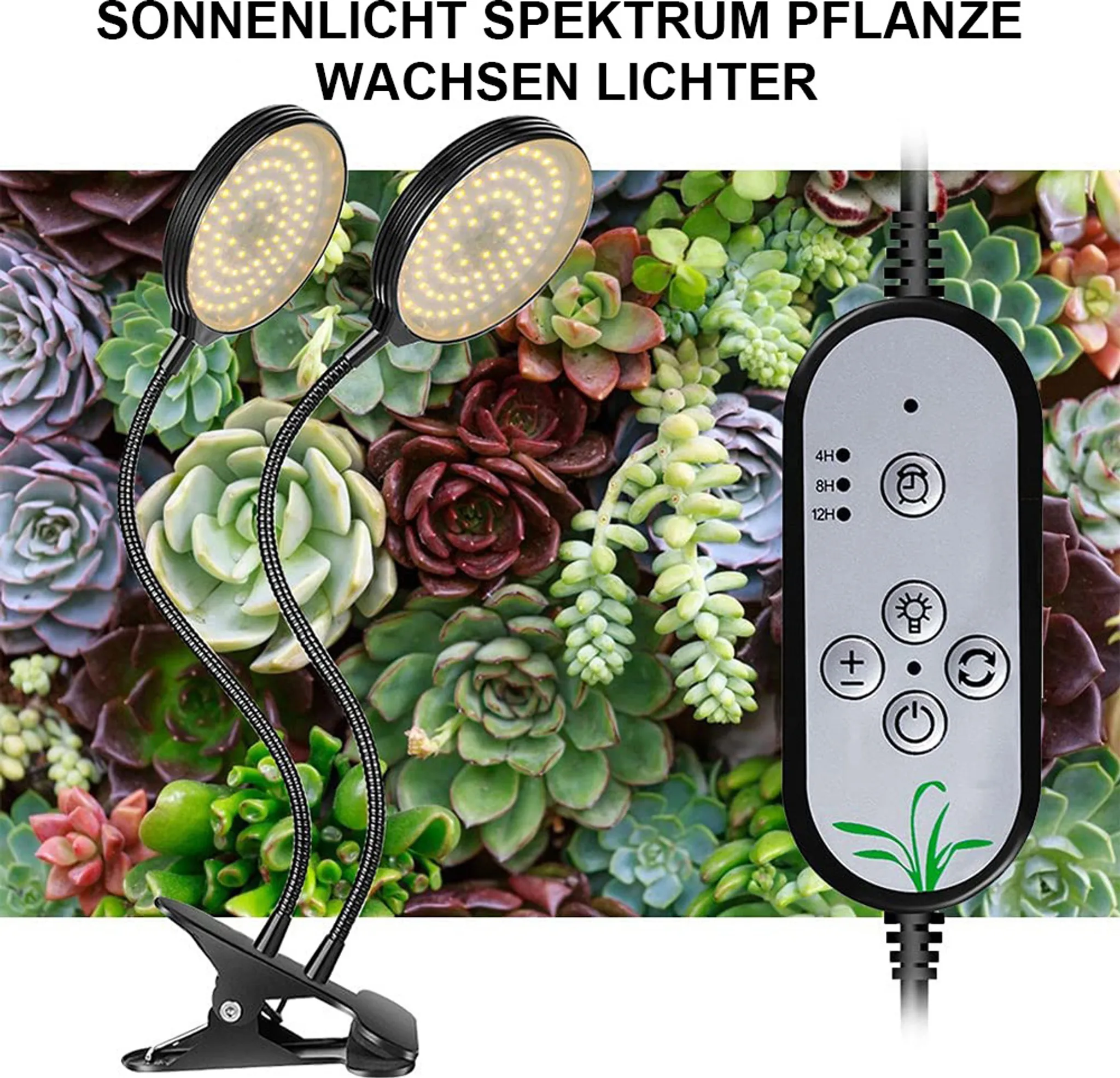 LED-Pflanzenlampe über Sukkulenten. Zwei Lichter mit Timern und Bedienelementen. Hintergrund mit verschiedenen grünen und roten Sukkulenten.