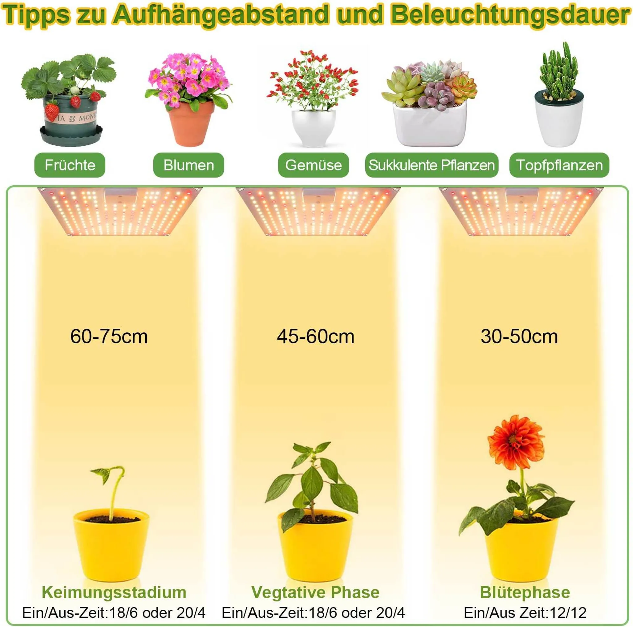 Das Bild zeigt Pflanzen in Töpfen mit unterschiedlichen Lichtabständen, wobei die Wachstumsstadien und Beleuchtungsdauern hervorgehoben werden.