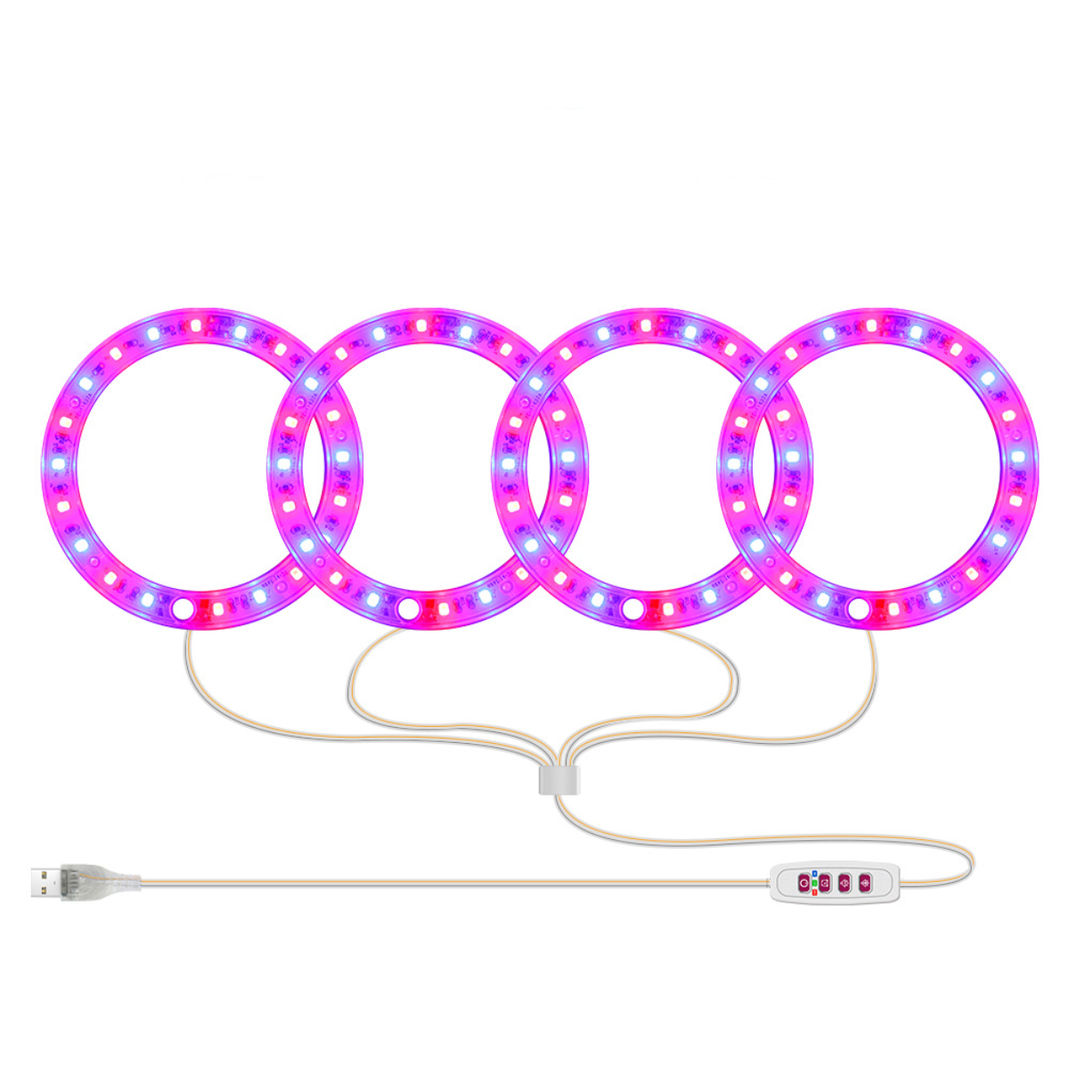 Vier kreisförmige LED-Wachstumslichter mit rosa und lilafarbenen Farbtönen. Ein USB-Kabel und Bedienfeld sind angeschlossen. Weißer Hintergrund.