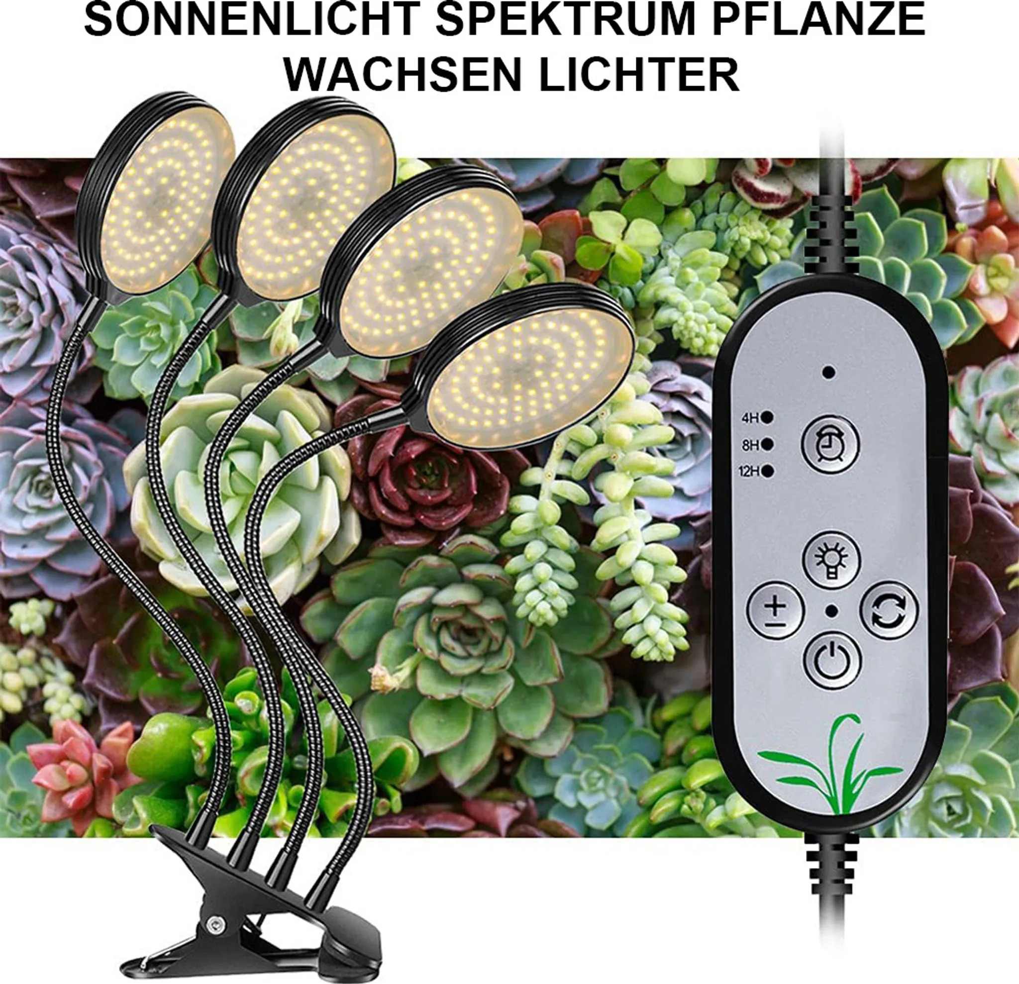 Vier Pflanzenlampen beleuchten Sukkulenten. Auf der rechten Seite befindet sich ein Bedienfeld. Der Hintergrund zeigt Sukkulenten.