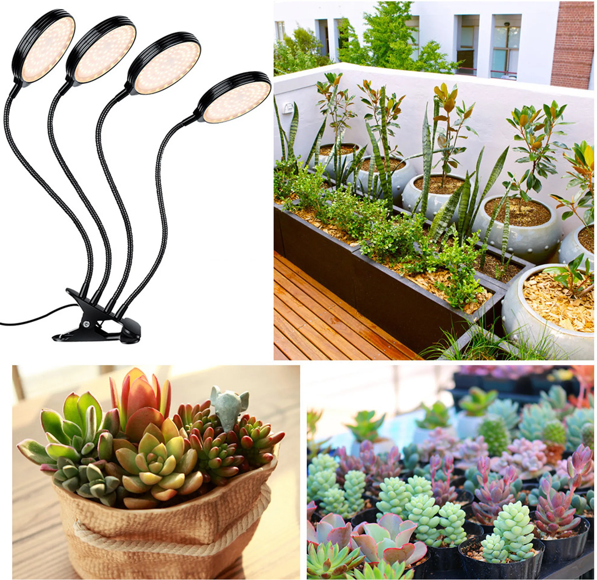Das Bild zeigt vier Wachstumslampen, einen kleinen Garten und zwei Sukkulenten-Arrangements.