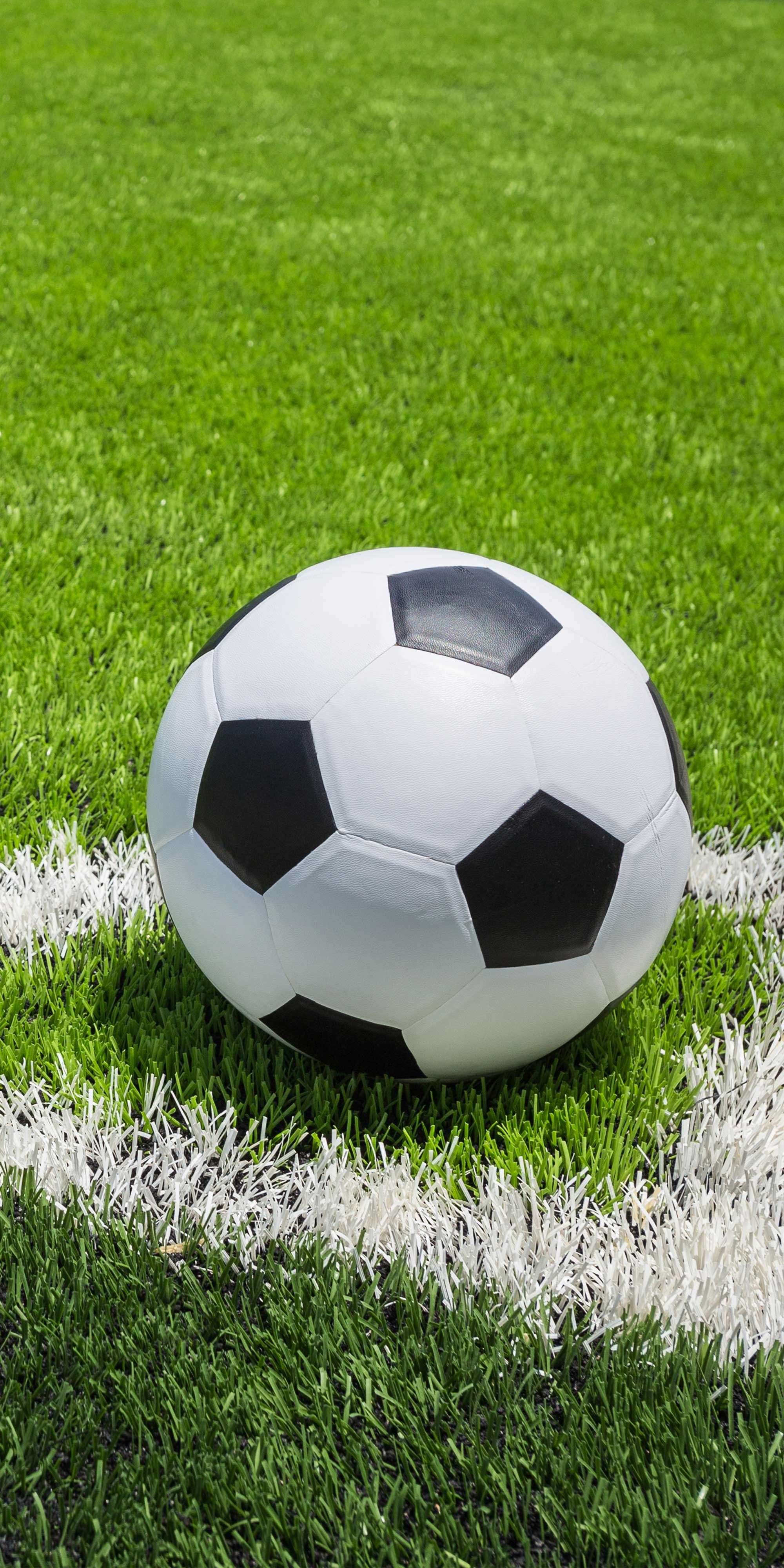 Ein Fußball liegt auf grünem Gras in der Nähe einer weißen Linie.