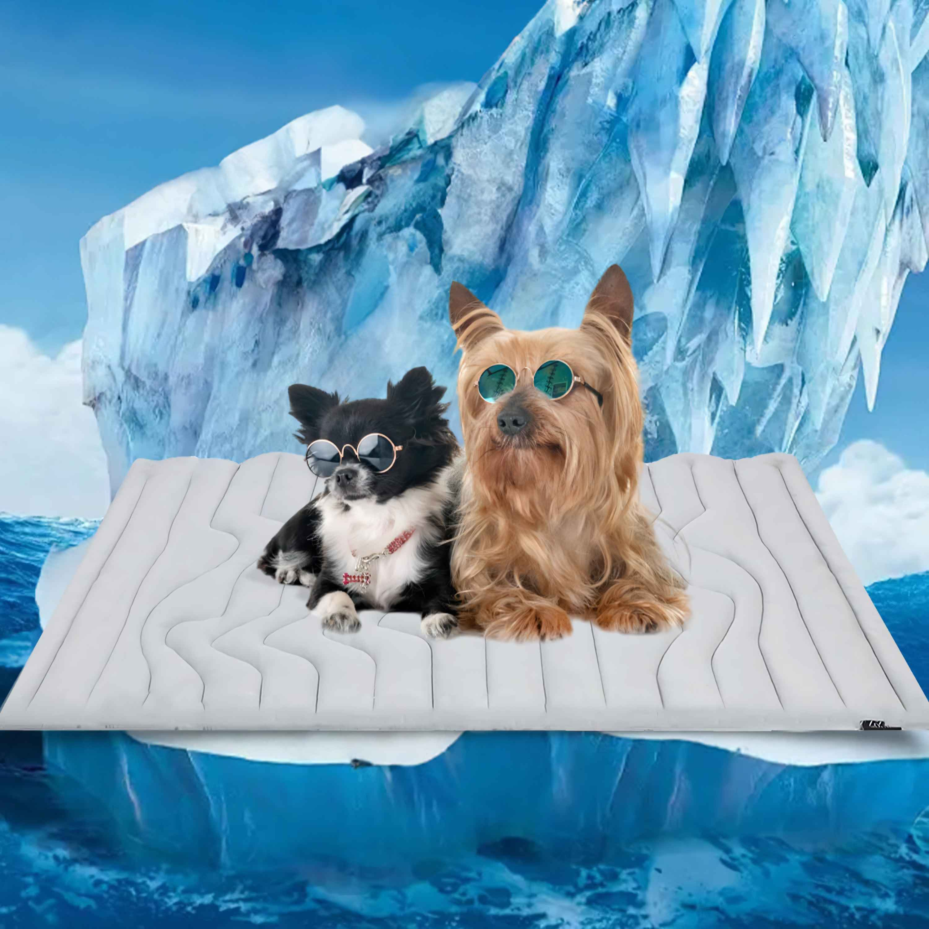 Zwei Hunde mit Sonnenbrillen ruhen auf einer weißen Matte auf einem Eisberg, mit blauem Meer und Himmel im Hintergrund.