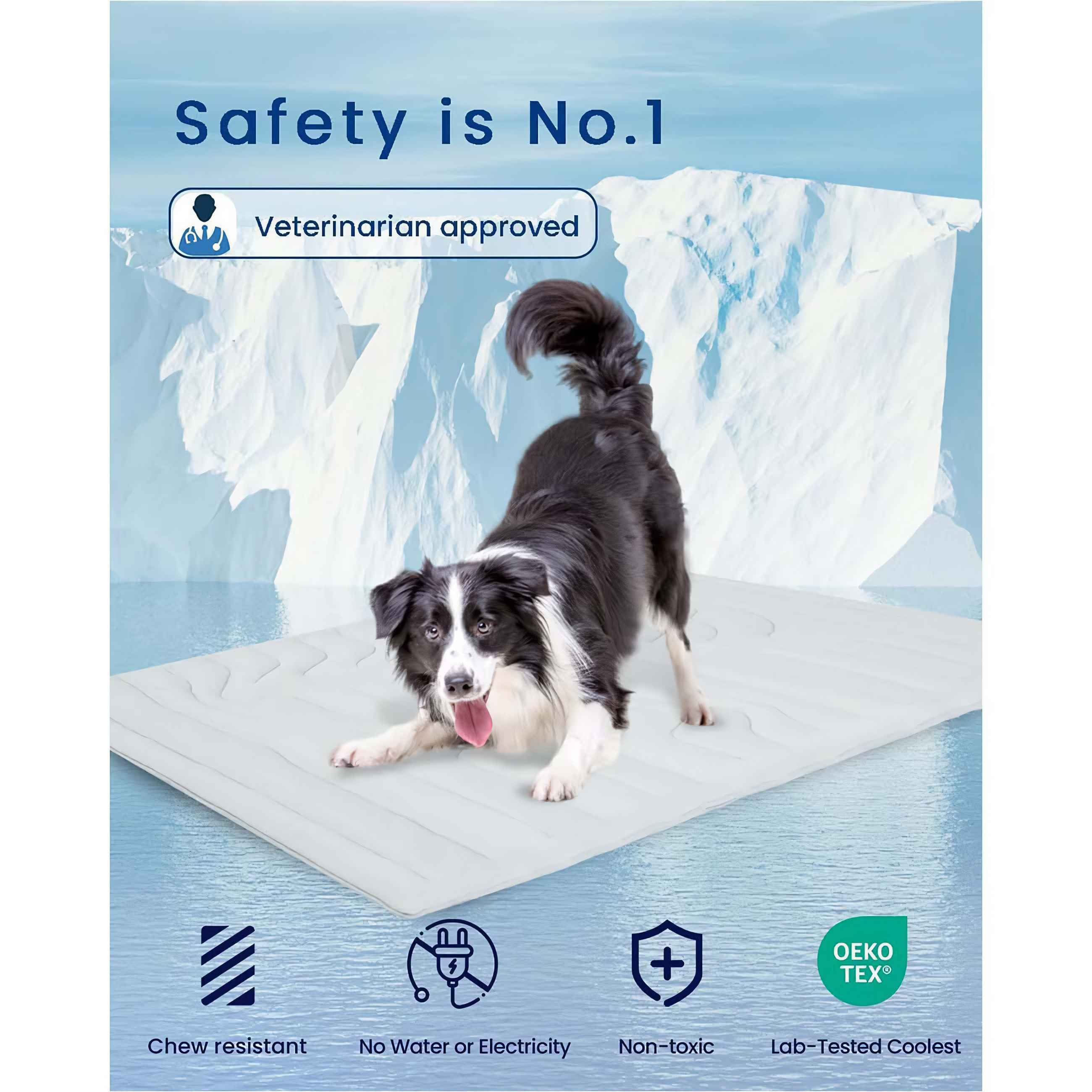 Ein Hund liegt auf einer weißen Matte. Der Hintergrund hat Eisberge und Text: Sicherheit ist Nr. 1, Tierarzt zugelassen.