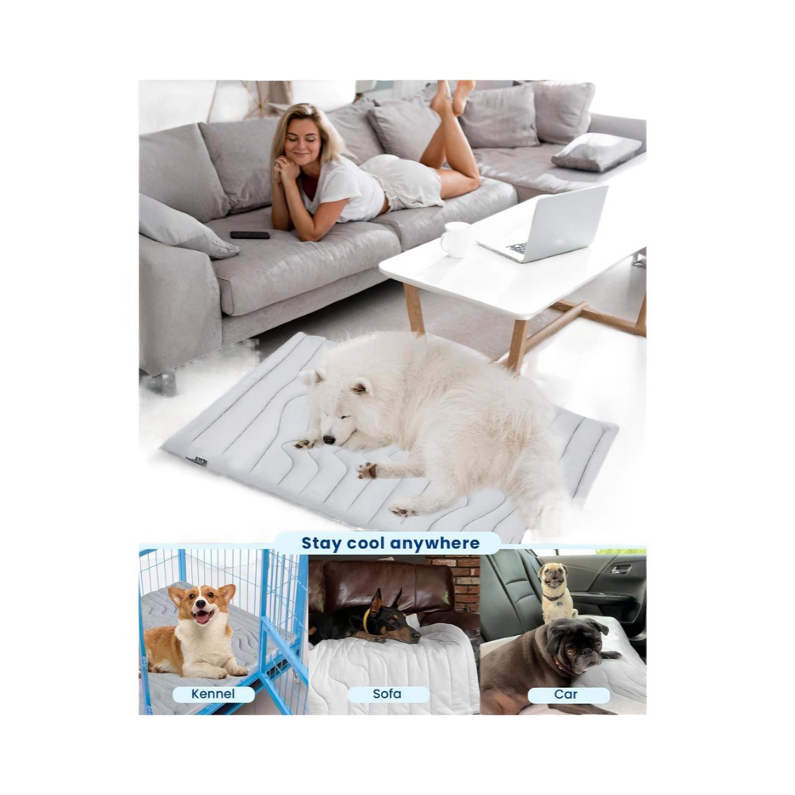 Eine Frau liegt auf einem Sofa. Ein weißer Hund ruht auf einer Kühlmatte. Andere Szenen zeigen Hunde in einer Hundehütte, auf einem Sofa und im Auto.