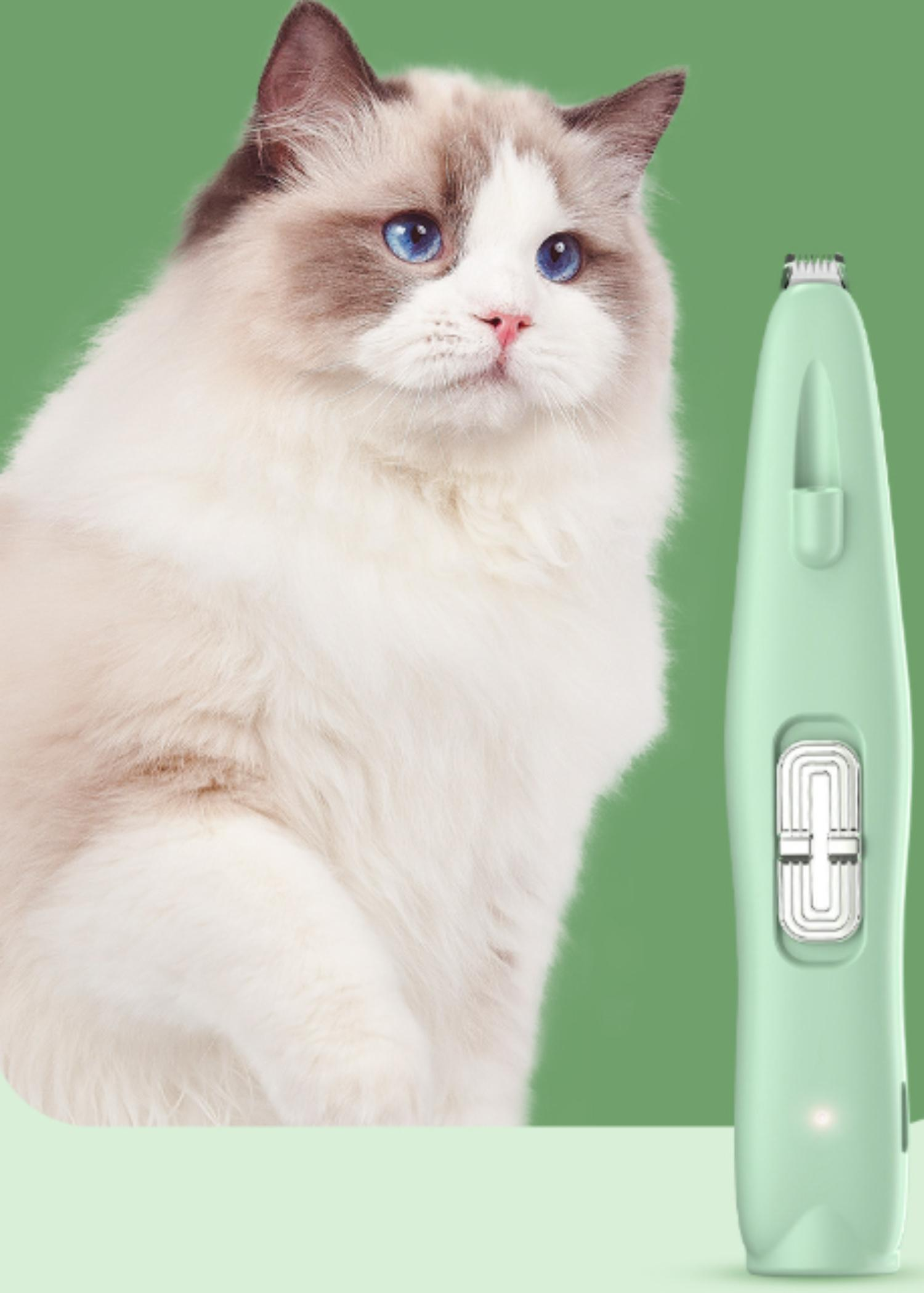 Eine flauschige Katze mit blauen Augen neben einem grünen Haarschneider für Haustiere.