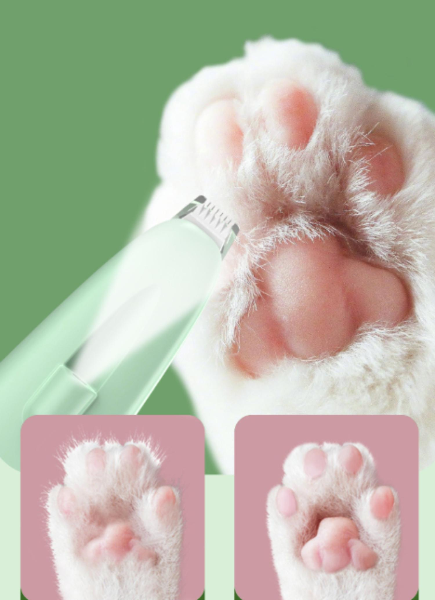 Eine Katzenpfote wird mit einem grünen elektrischen Trimmer getrimmt. Die Pfote hat rosa Ballen und weißes Fell. Zusätzliche Pfoten sind unten abgebildet.