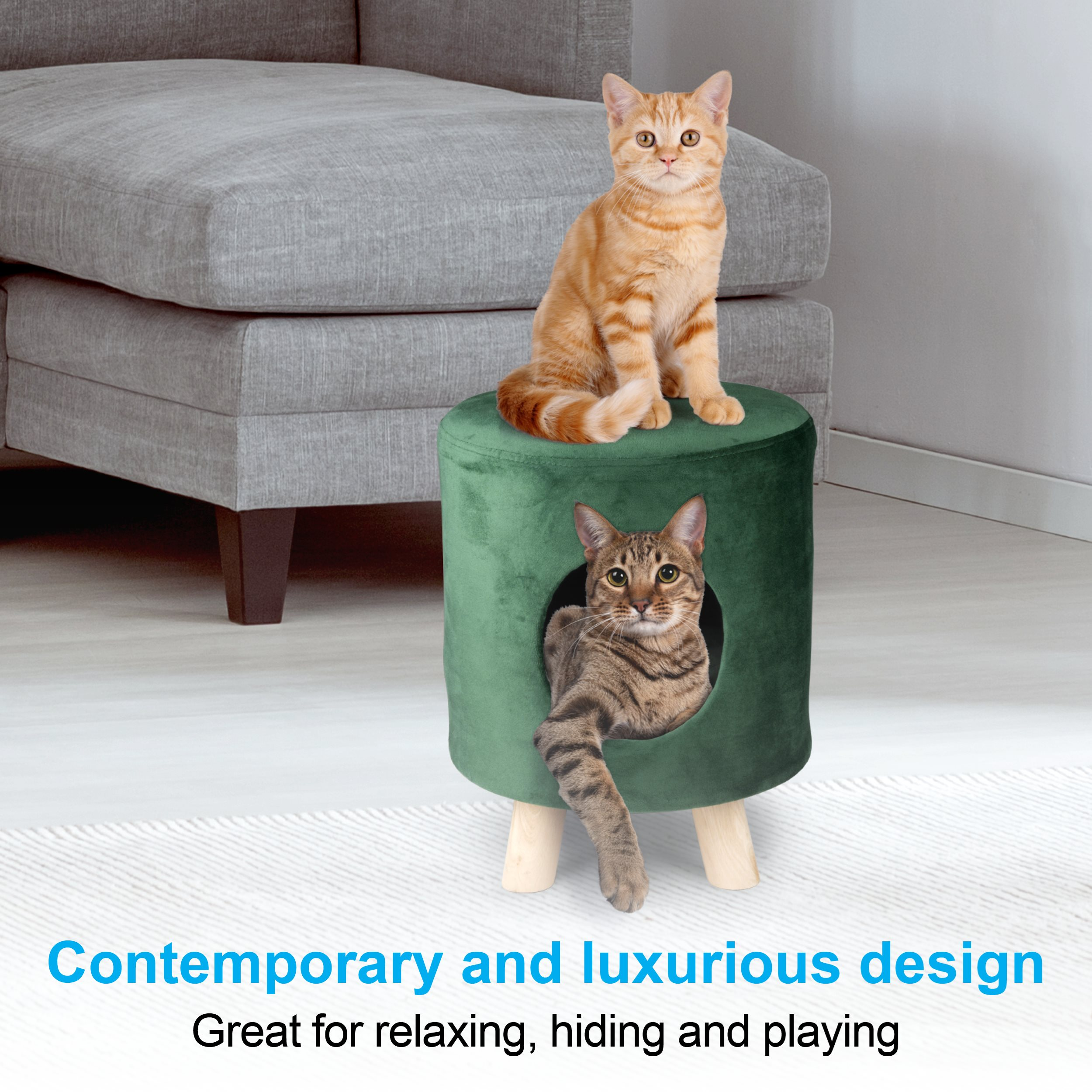 Two cats, one orange and the other tabby, with a green pet bed. A gray sofa is in the background.