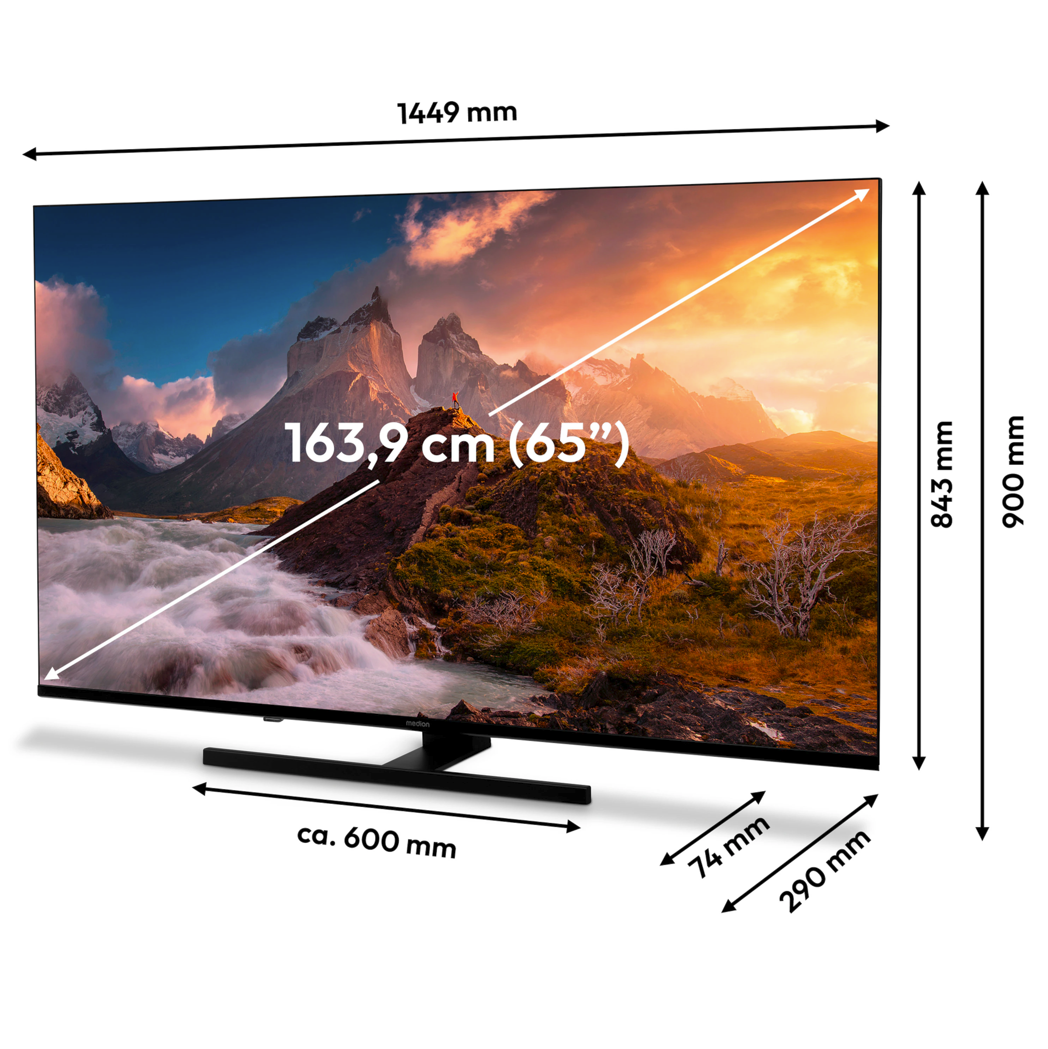 Ein 65-Zoll-Fernseher zeigt eine Landschaft mit Bergen und Wasser. Abmessungen sind beschriftet: 1449 mm breit, 900 mm hoch.