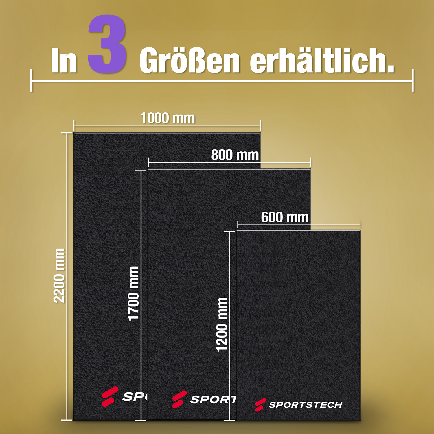Schwarze Matten in 3 Größen: 2200x1000mm, 1700x800mm und 1200x600mm, vor goldenem Hintergrund, mit Markenlogos.