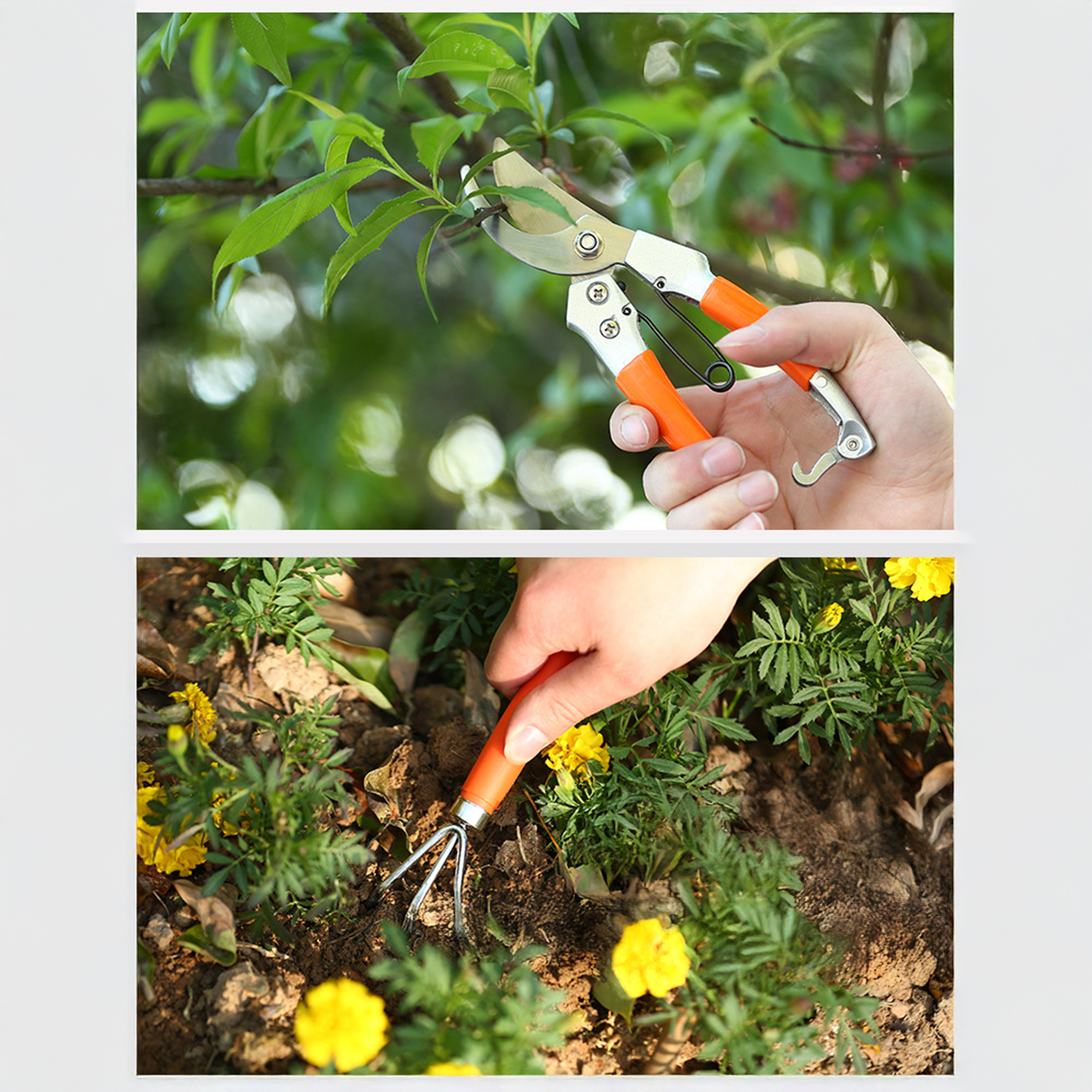 Eine Hand hält eine Astschere und schneidet einen Zweig ab. Darunter verwendet eine Hand einen kleinen Rechen in einem Garten mit gelben Blumen.