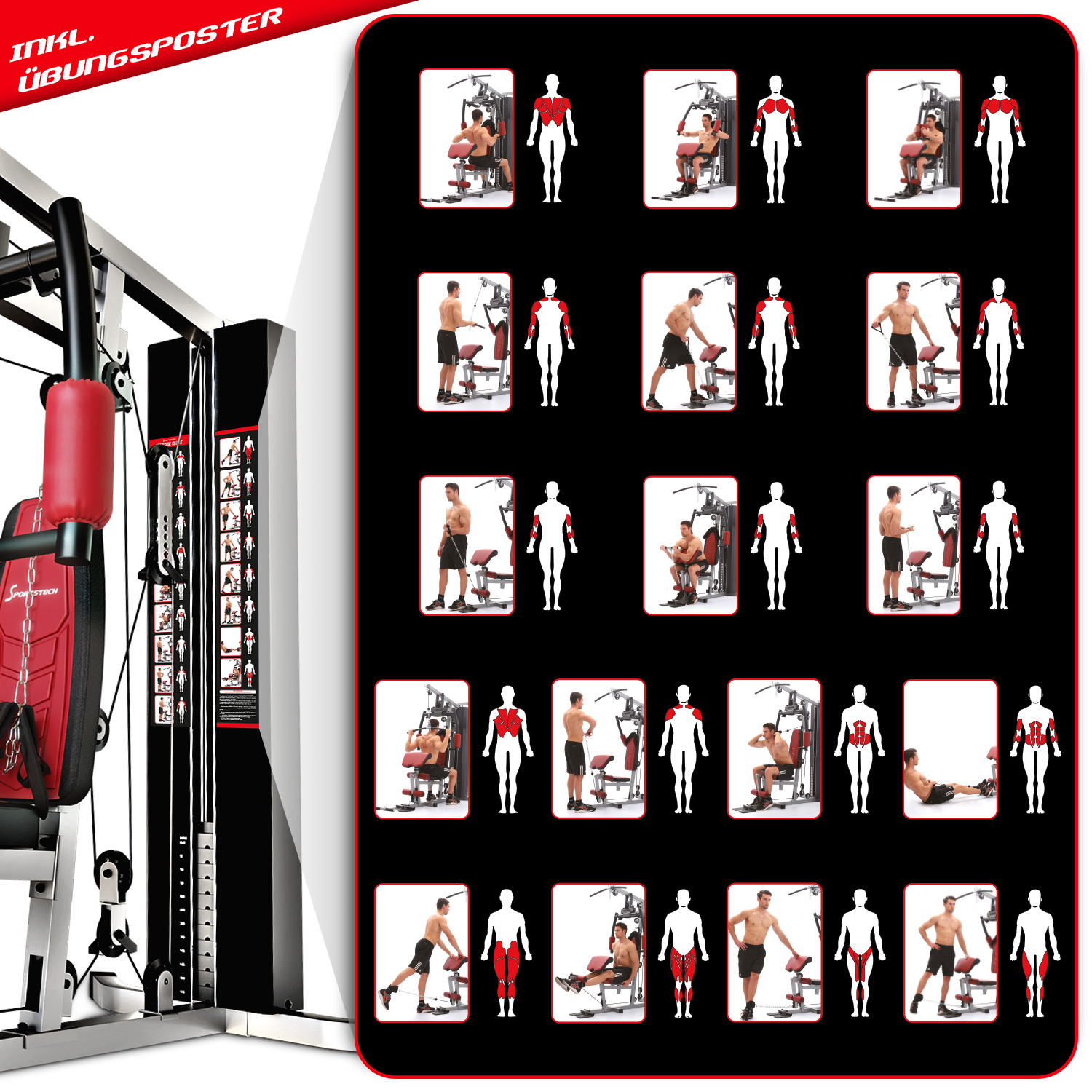 Ein Trainingsposter mit verschiedenen Übungen, das eine Gewichtsmaschine zeigt. Es enthält Diagramme, die Muskelgruppen hervorheben.