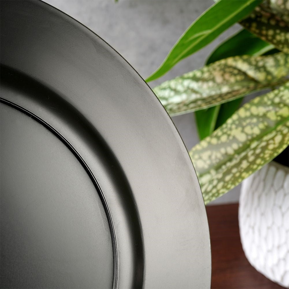 Primer plano de un plato negro, con una planta verde en el fondo. El plato tiene un acabado brillante. La planta tiene hojas verdes.