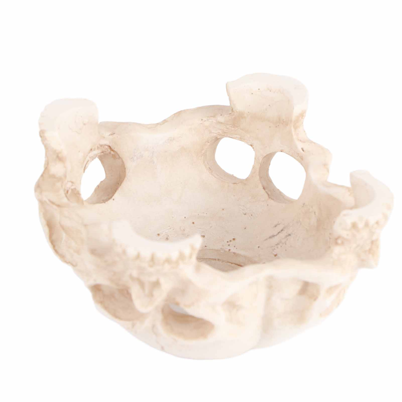 Eine knochenfarbene, schädelartige Schale mit mehreren Löchern. Der Schädel ist geneigt und zeigt die Augenhöhlen und die Nasenhöhle.