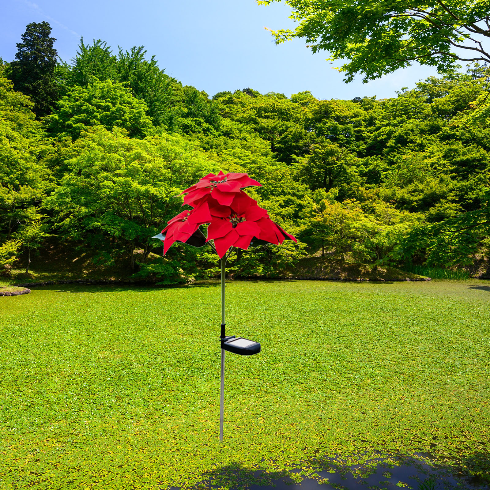 Eine rote blütenartige Dekoration steht in einem Teich, der mit grünen Pflanzen bedeckt ist, mit einem Hintergrund aus grünen Bäumen und blauem Himmel.
