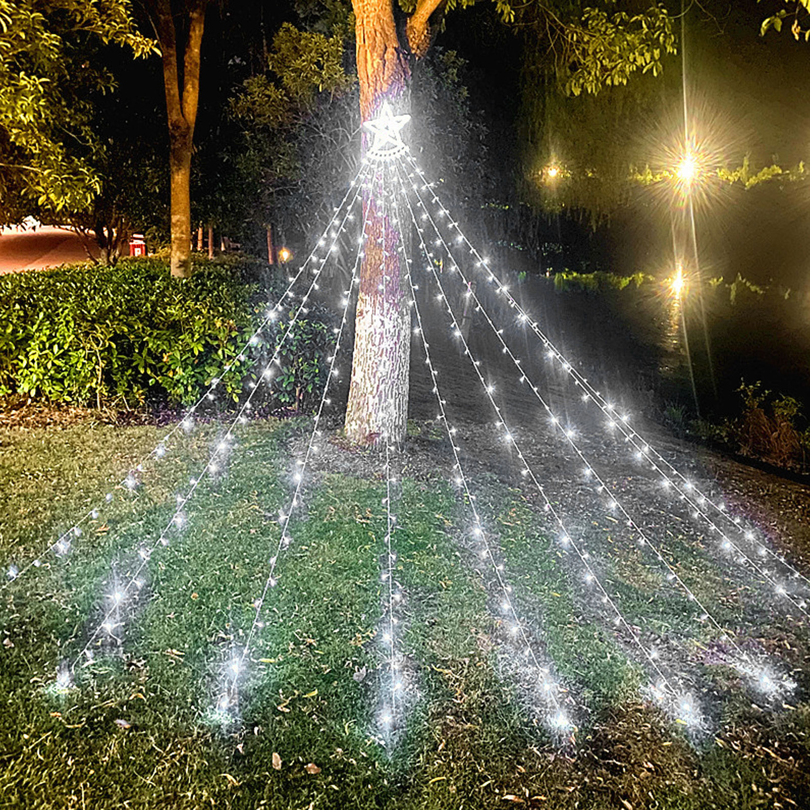 Ein Baumstamm mit einem Stern, geschmückt mit weißen Lichtern. Die Lichter fallen auf grünes Gras in dunkler Umgebung.