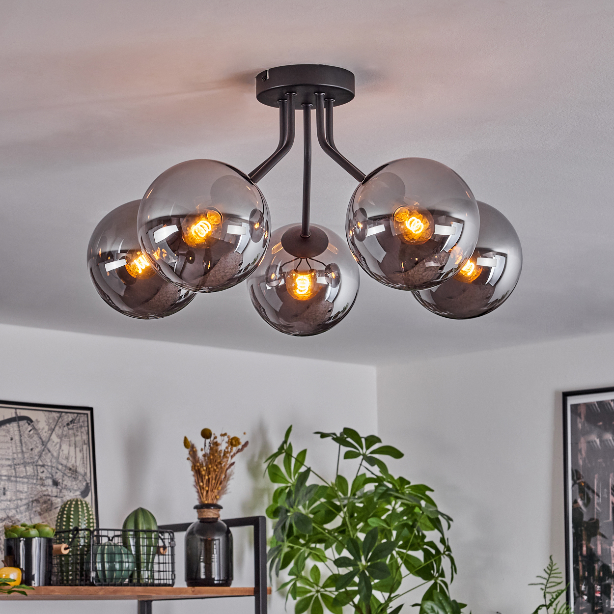Eine moderne Deckenlampe mit fünf rauchfarbenen Glaskugeln, jede mit einer warmen Glühbirne. Darunter ein Regal mit Pflanzen und Dekoration.