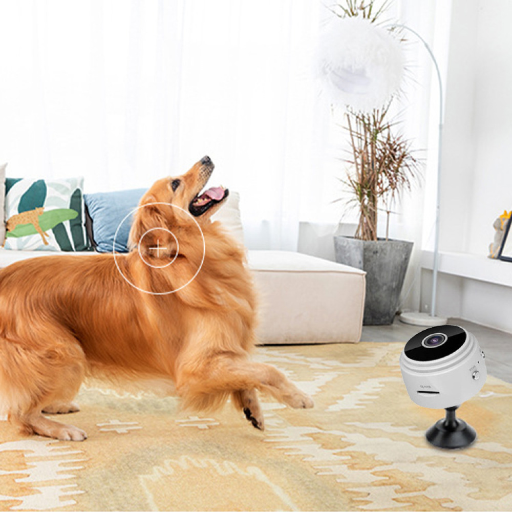 Ein Golden Retriever springt aufgeregt in der Nähe einer kleinen weißen Überwachungskamera auf einem Teppich. Im Hintergrund sind ein Sofa und Pflanzen zu sehen.