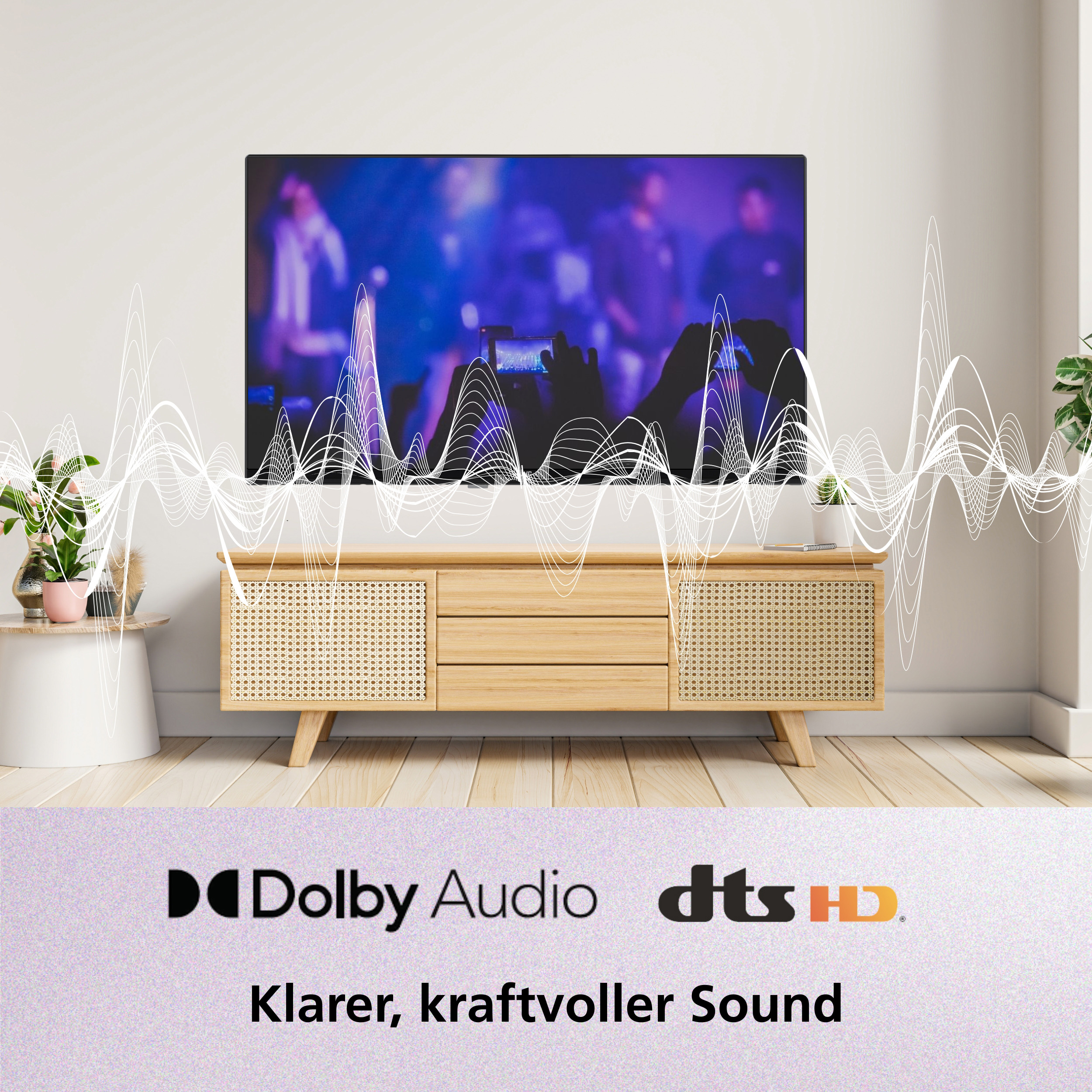 Fernseher mit Konzertmenge über einem Holzschrank. Grafik der Schallwelle davor. Dolby Audio und DTS HD Logos sind vorhanden.