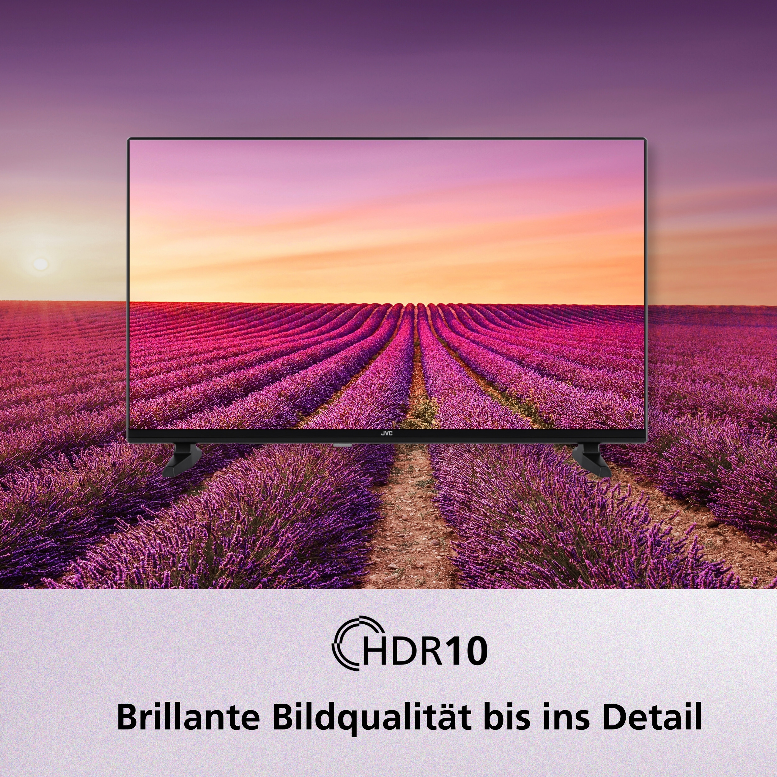Ein Fernseher zeigt ein Lavendelfeld bei Sonnenuntergang. HDR10-Logo ist unten. Text: Brillante Bildqualität bis ins Detail.