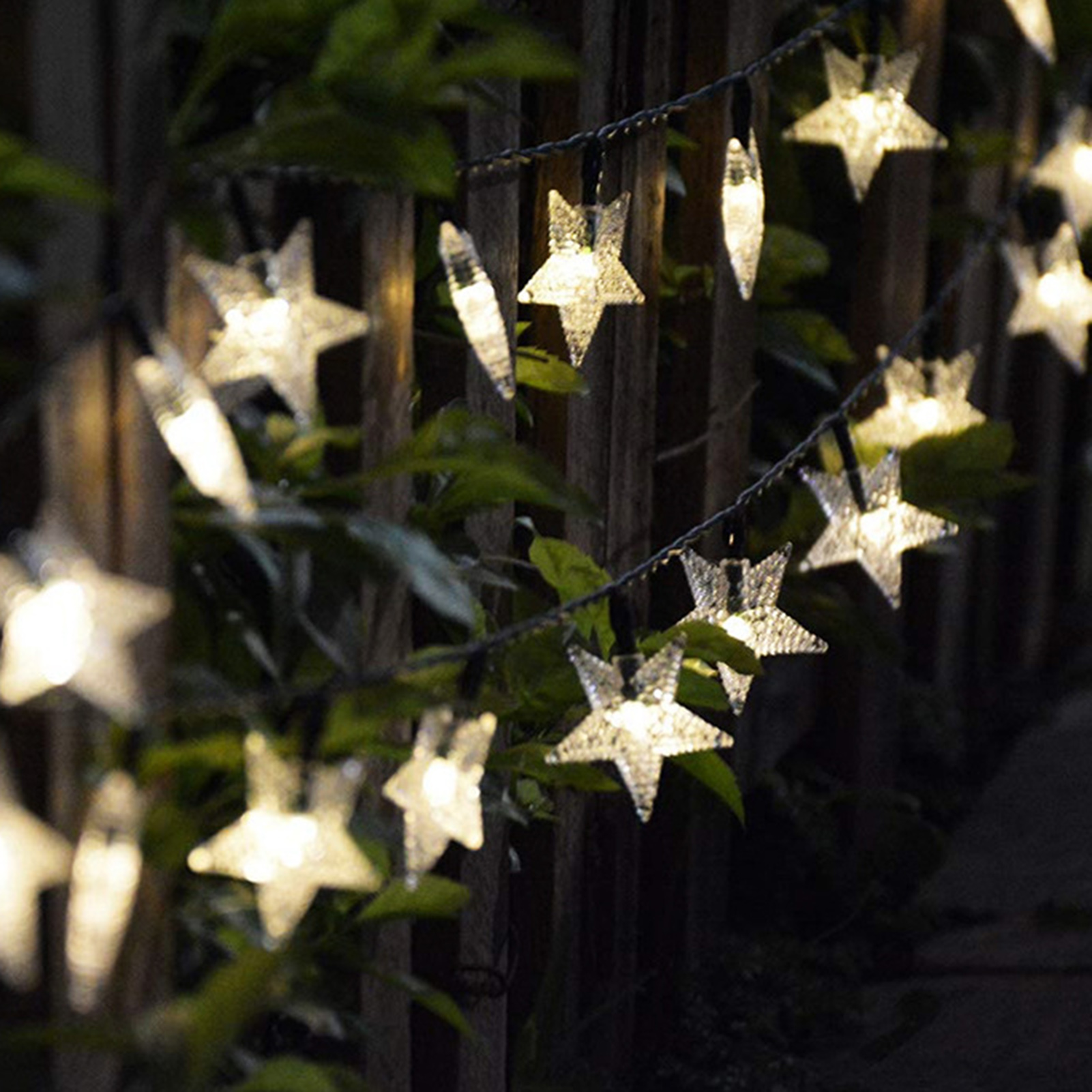 Schnurförmige Lichter in Sternform auf dunklem Hintergrund. Grüne Blätter und Holzzaun sind sichtbar.