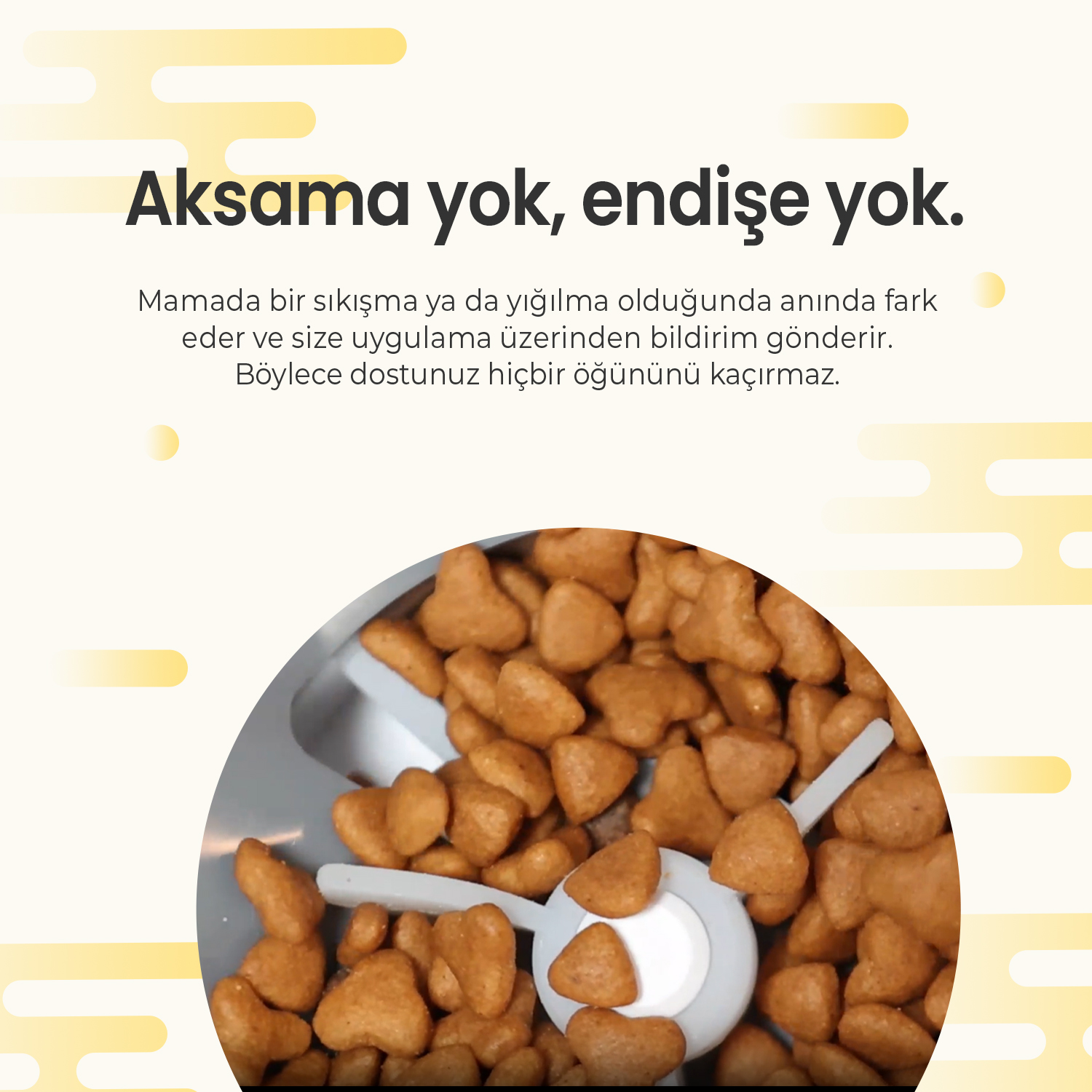 Beyaz bir kaşıkla bir kapta evcil hayvan mamasına yakın çekim. Türkçe metin: 'Gecikme yok, endişe yok'.