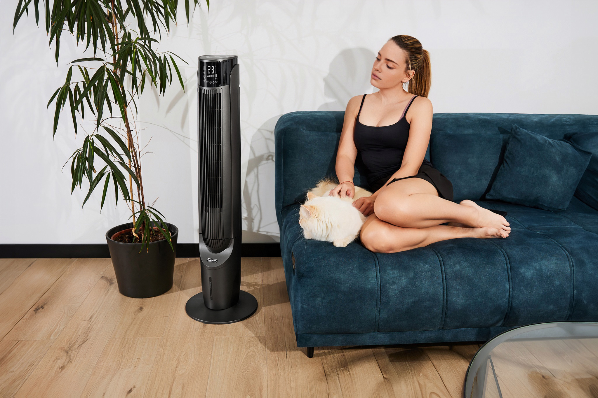 Kobieta na turkusowej sofie z białym kotem, czarnym wentylatorem i rośliną. Ma na sobie czarny top i szorty.