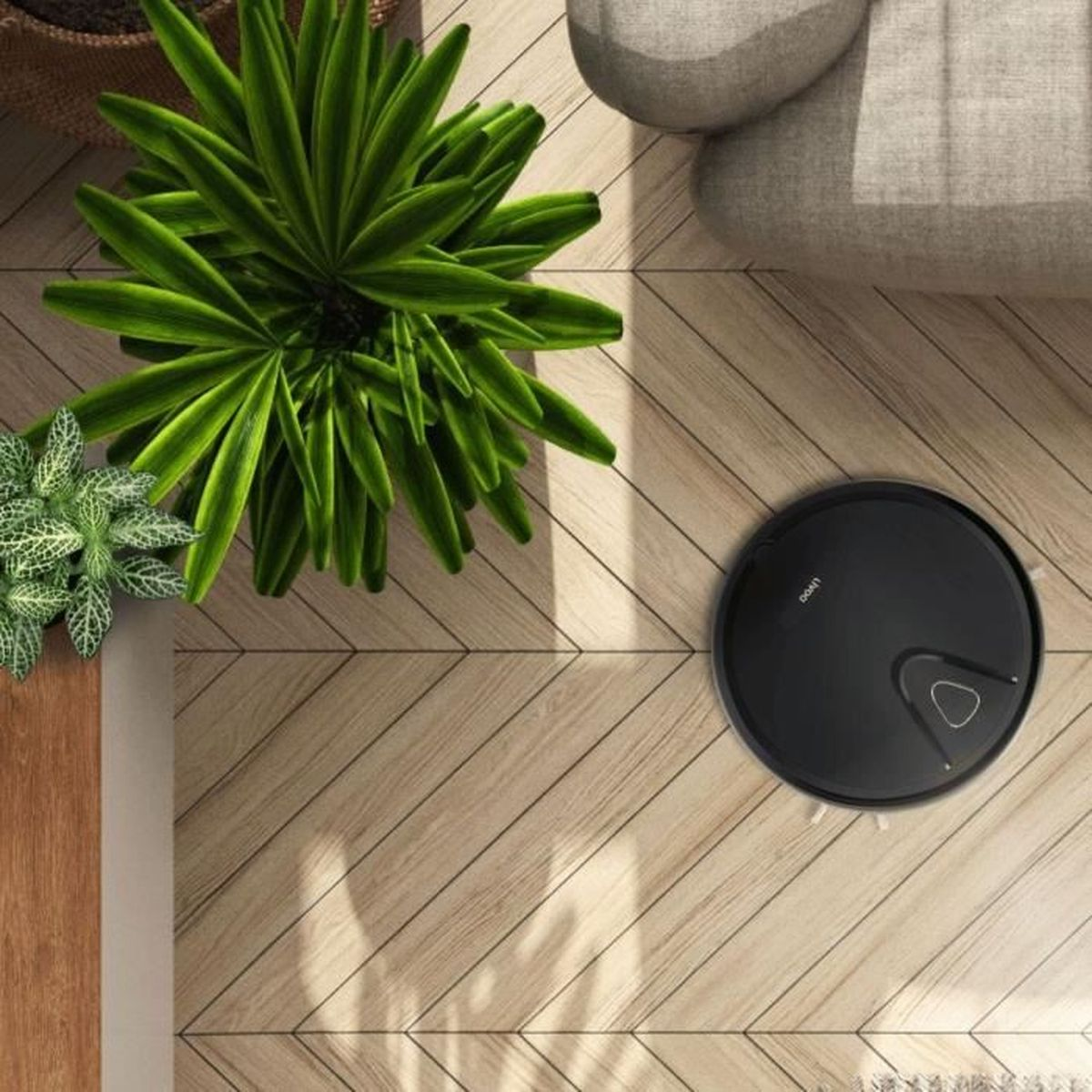 Widok z góry na pokój z roślinami, czarnym robotem sprzątającym i drewnianą podłogą. W tle sofa.