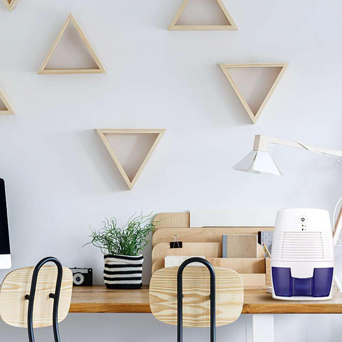 Ein Schreibtisch mit Regalen, einer Pflanze und einem Luftentfeuchter. Dreieckige Regale an der Wand. Eine Schreibtischlampe und zwei Stühle.