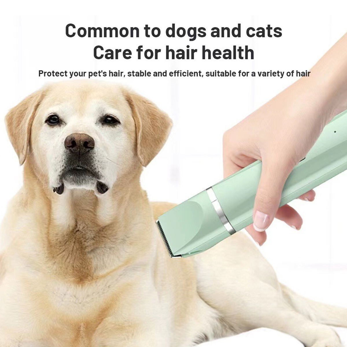 Ein Golden Retriever wird mit einem grünen Haarschneider für Haustiere gepflegt. Text: Gemeinsam für Hunde und Katzen, Haarpflege, schützt das Haar des Haustiers.