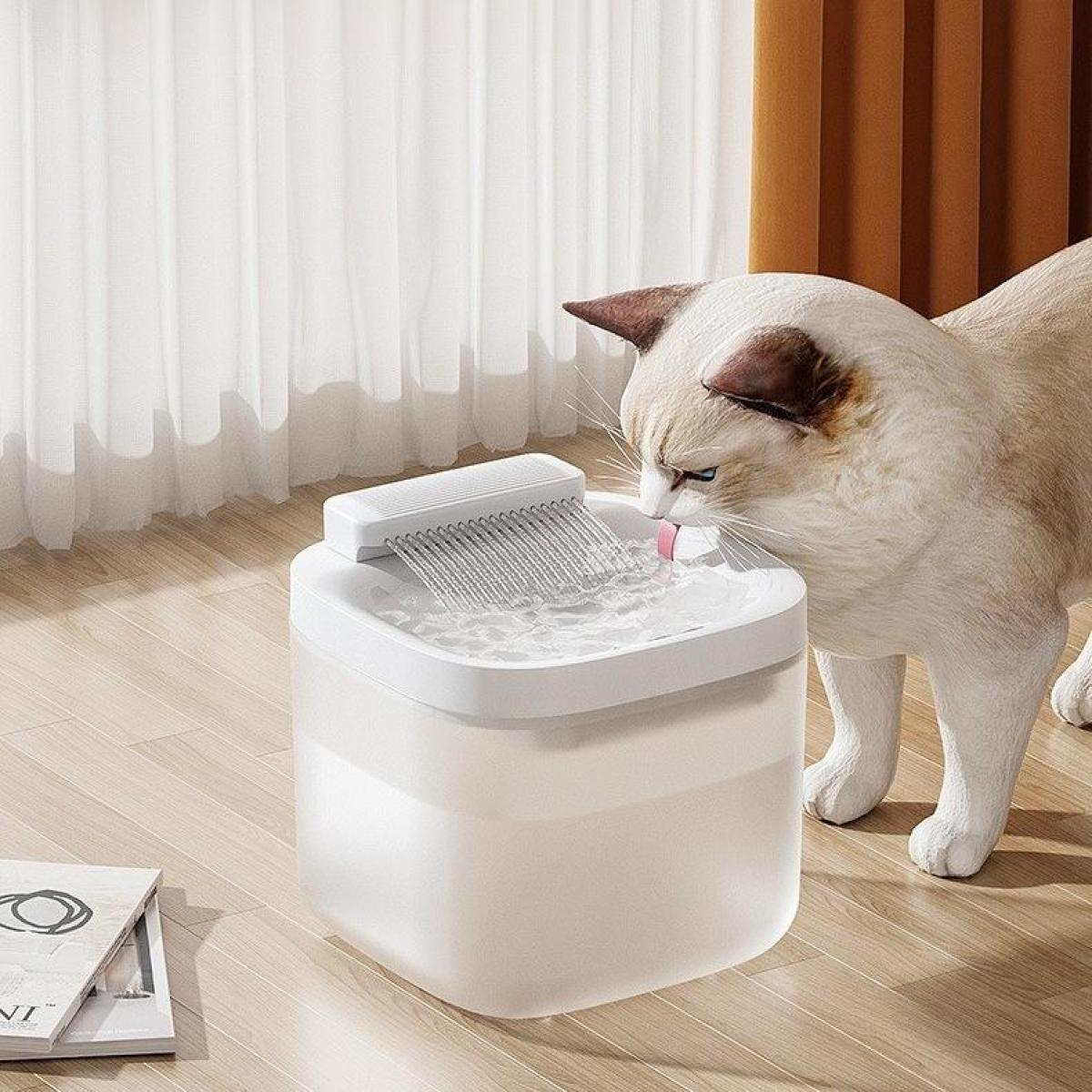 Eine Katze trinkt aus einem weißen Wasserbrunnen. Der Brunnen steht auf einem Holzboden neben einer Zeitschrift. Vorhänge sind im Hintergrund.