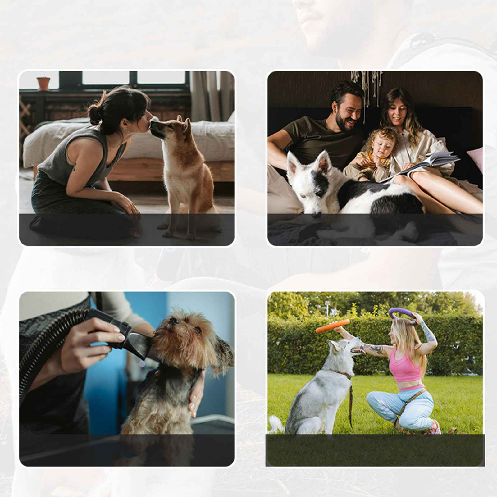 Eine Frau küsst einen Hund. Familie auf dem Bett mit einem Hund. Ein Hund wird gepflegt. Eine Frau spielt im Garten mit einem Hund.