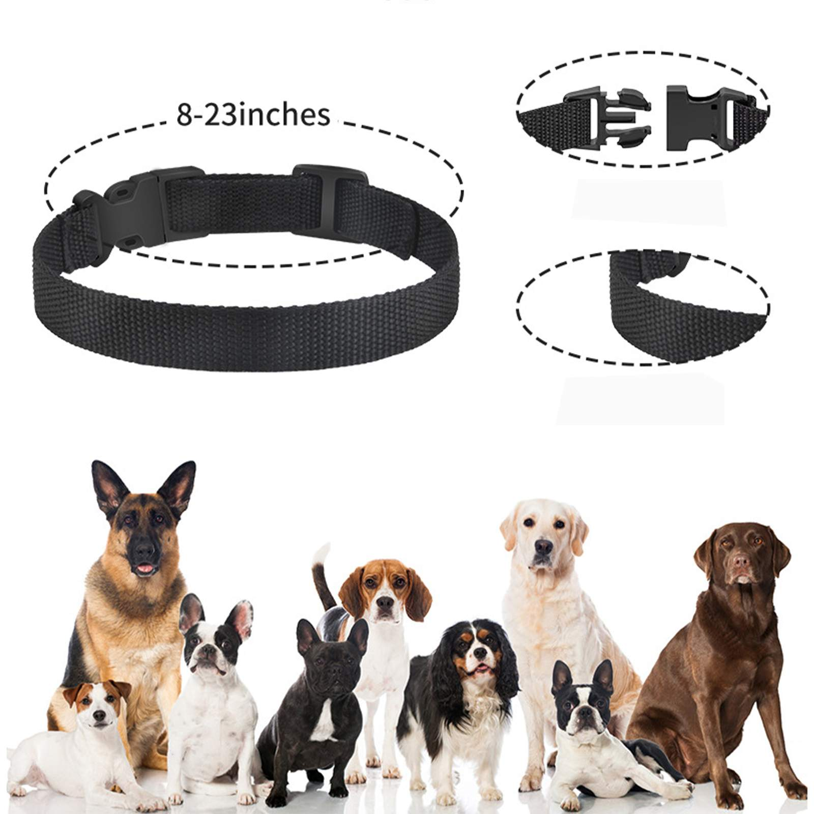 Das Bild zeigt ein schwarzes Hundehalsband, Größe 8-23 Zoll, und mehrere Hunde verschiedener Rassen.